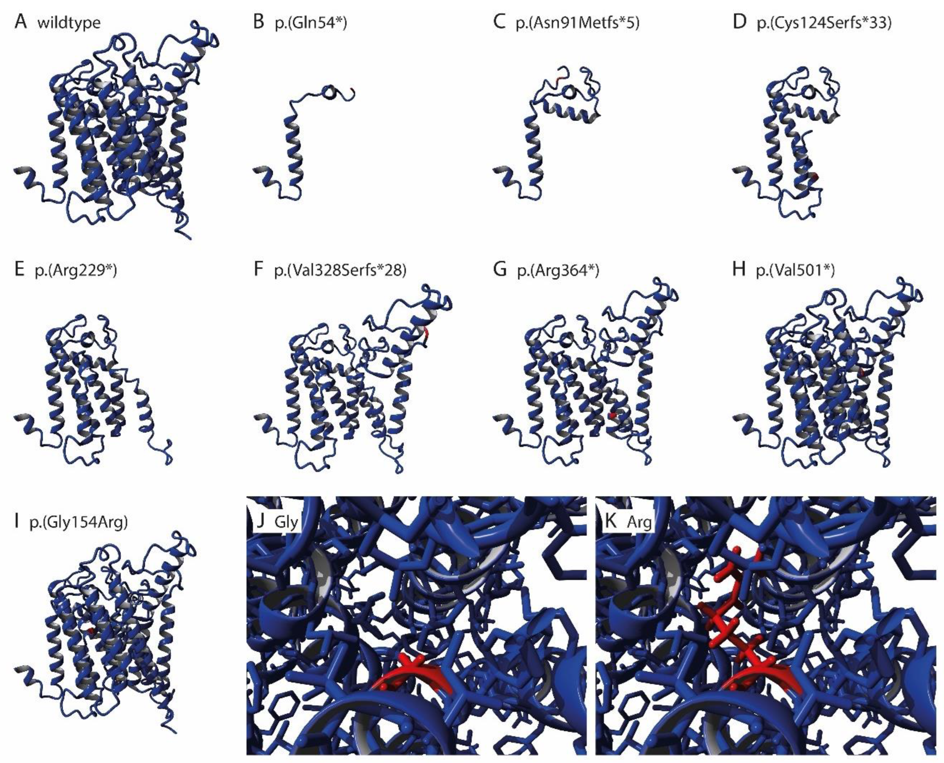 Genes 14 01652 g003a Genes 14 01652 g003a