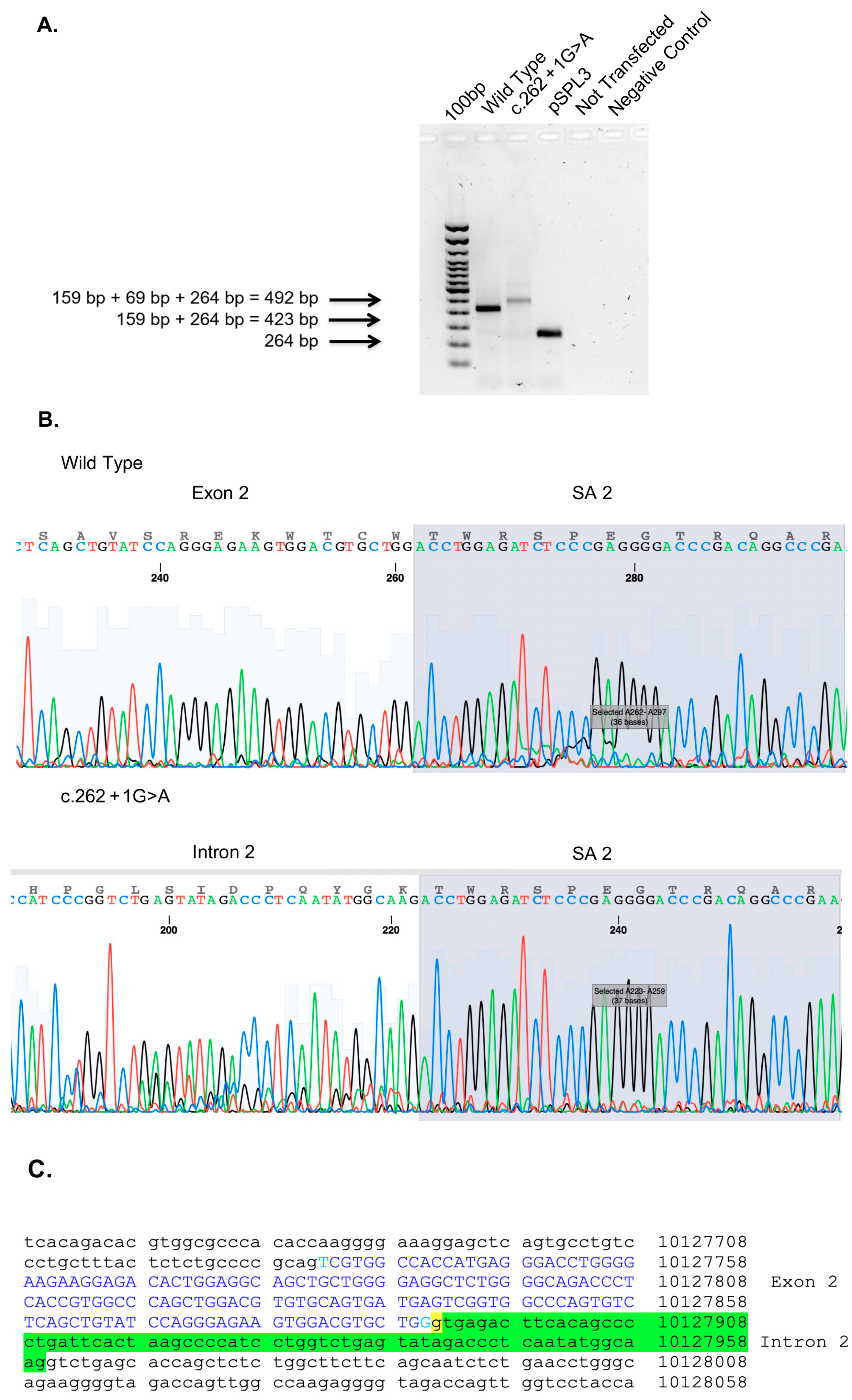 Genes 14 01659 g005