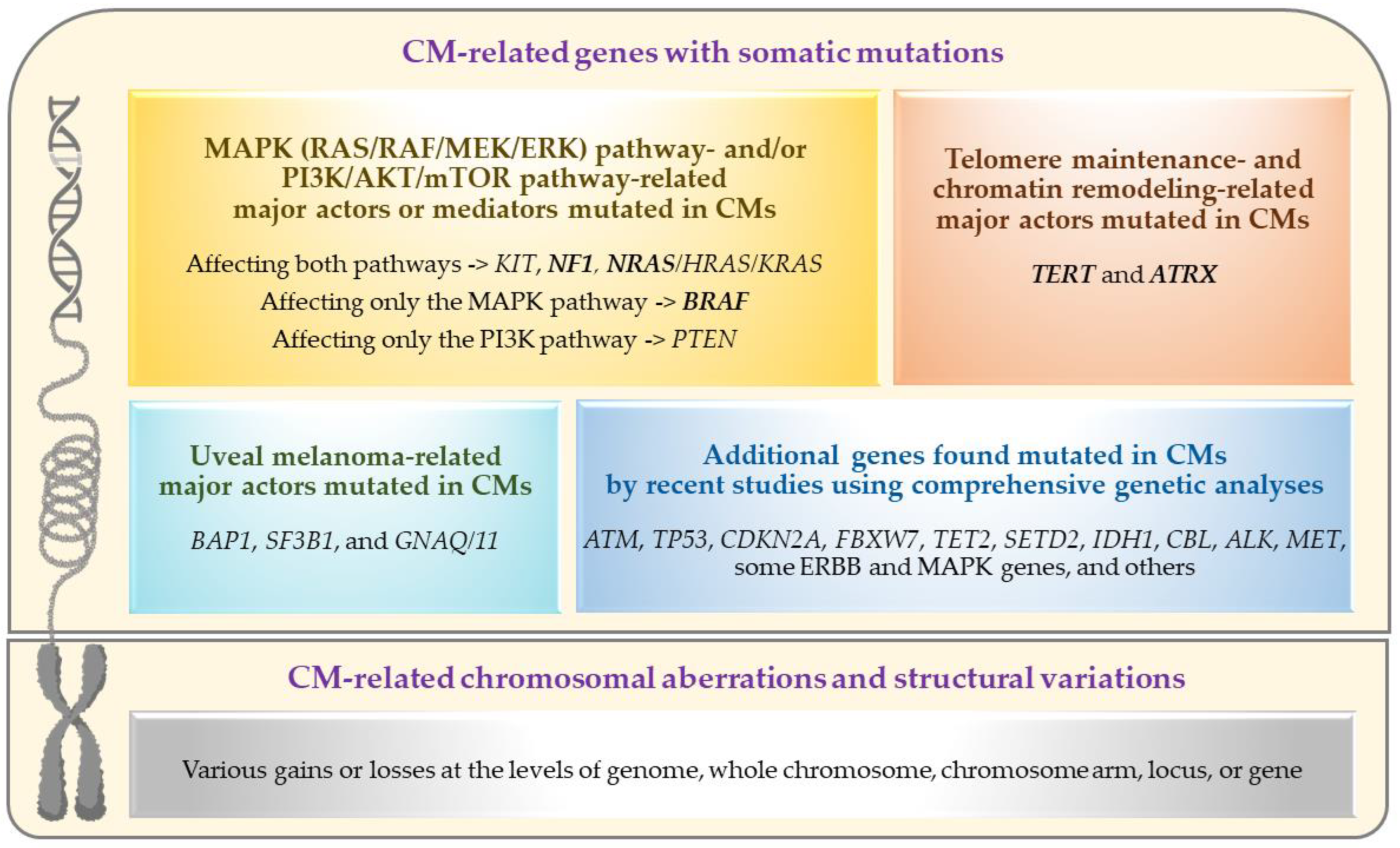 Genes 14 01668 g002