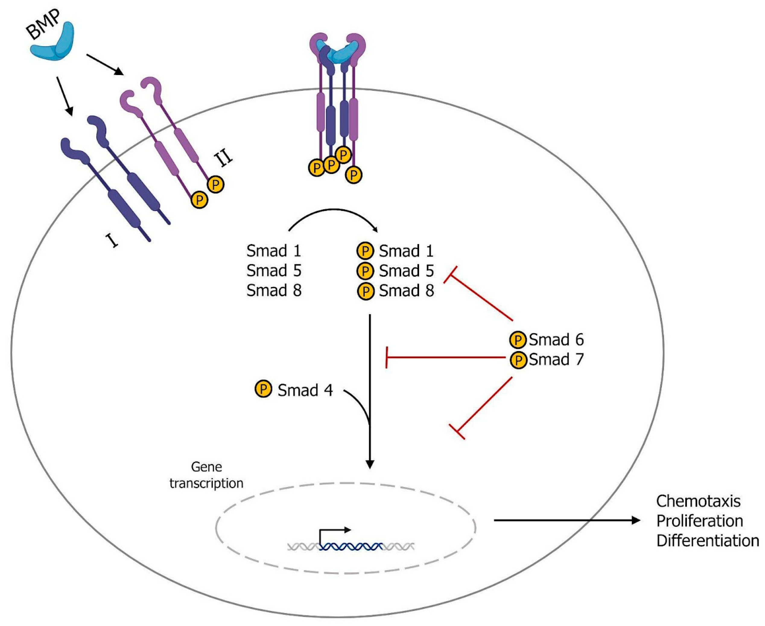 Genes 14 01669 g003 Genes 14 01669 g003
