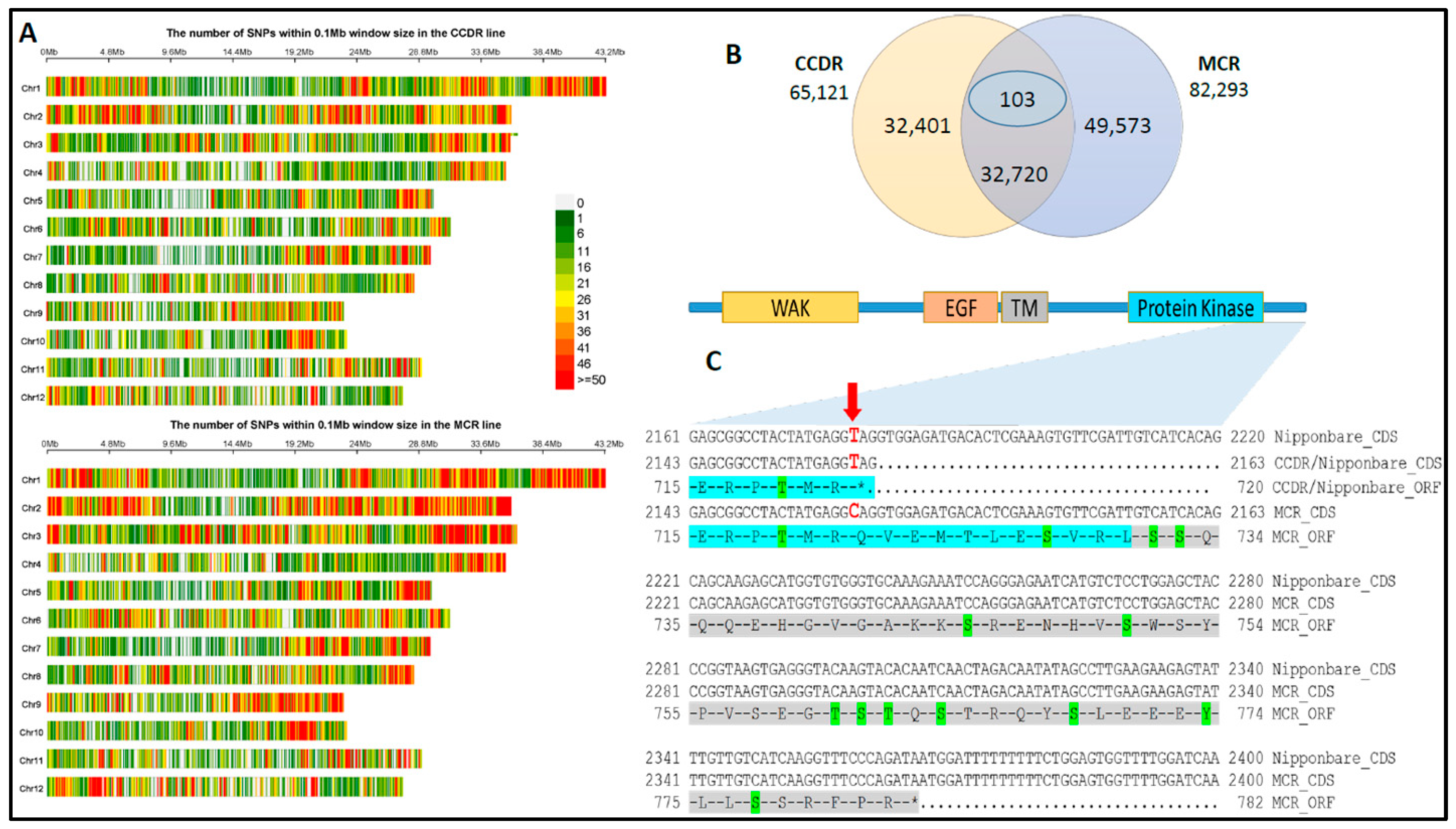 Genes 14 01673 g002