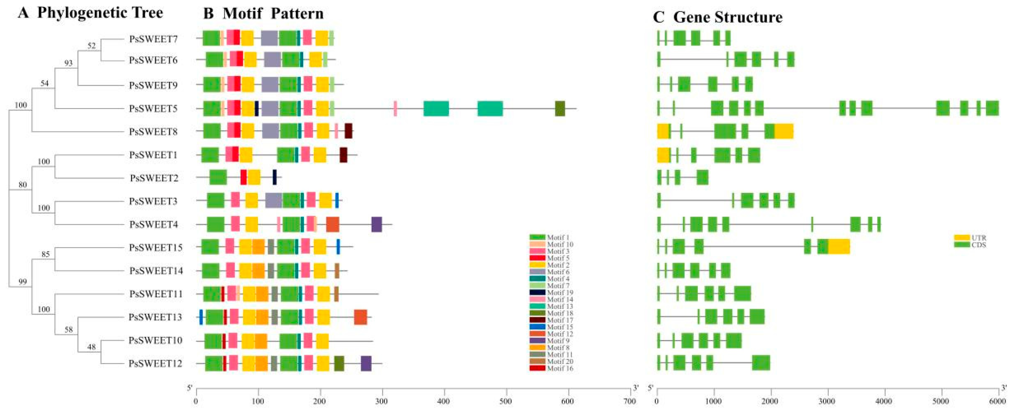 Genes 14 01679 g002