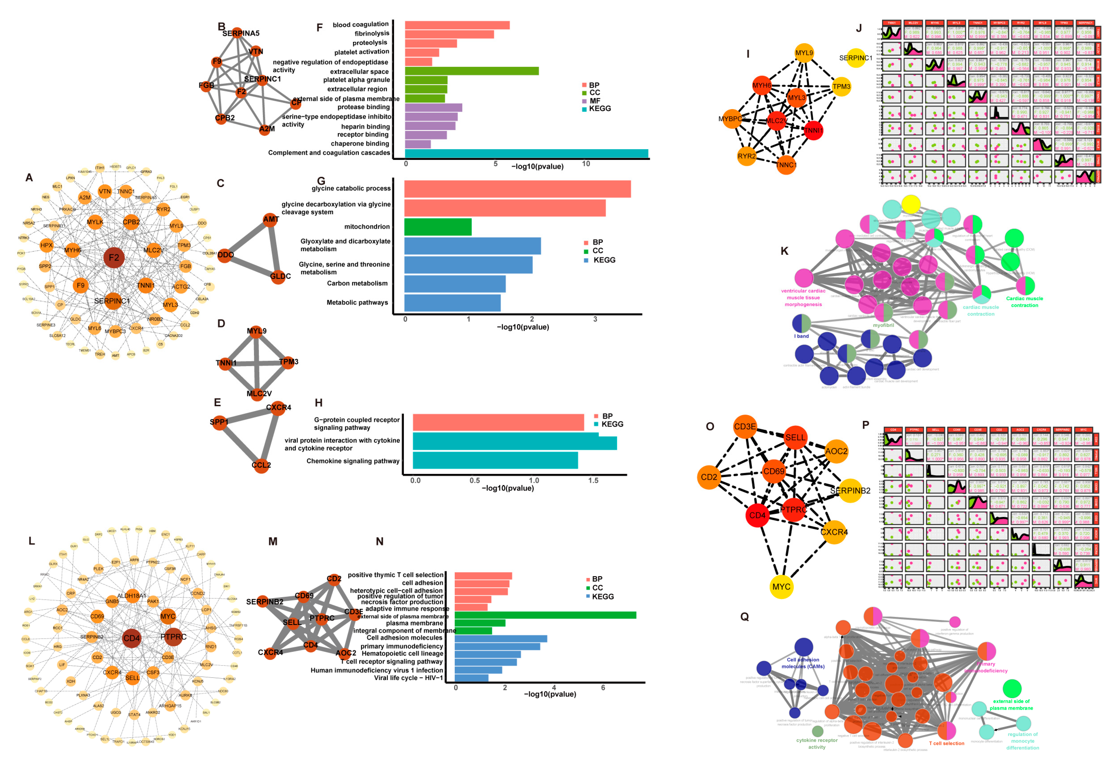 Genes 14 01695 g003 Genes 14 01695 g003