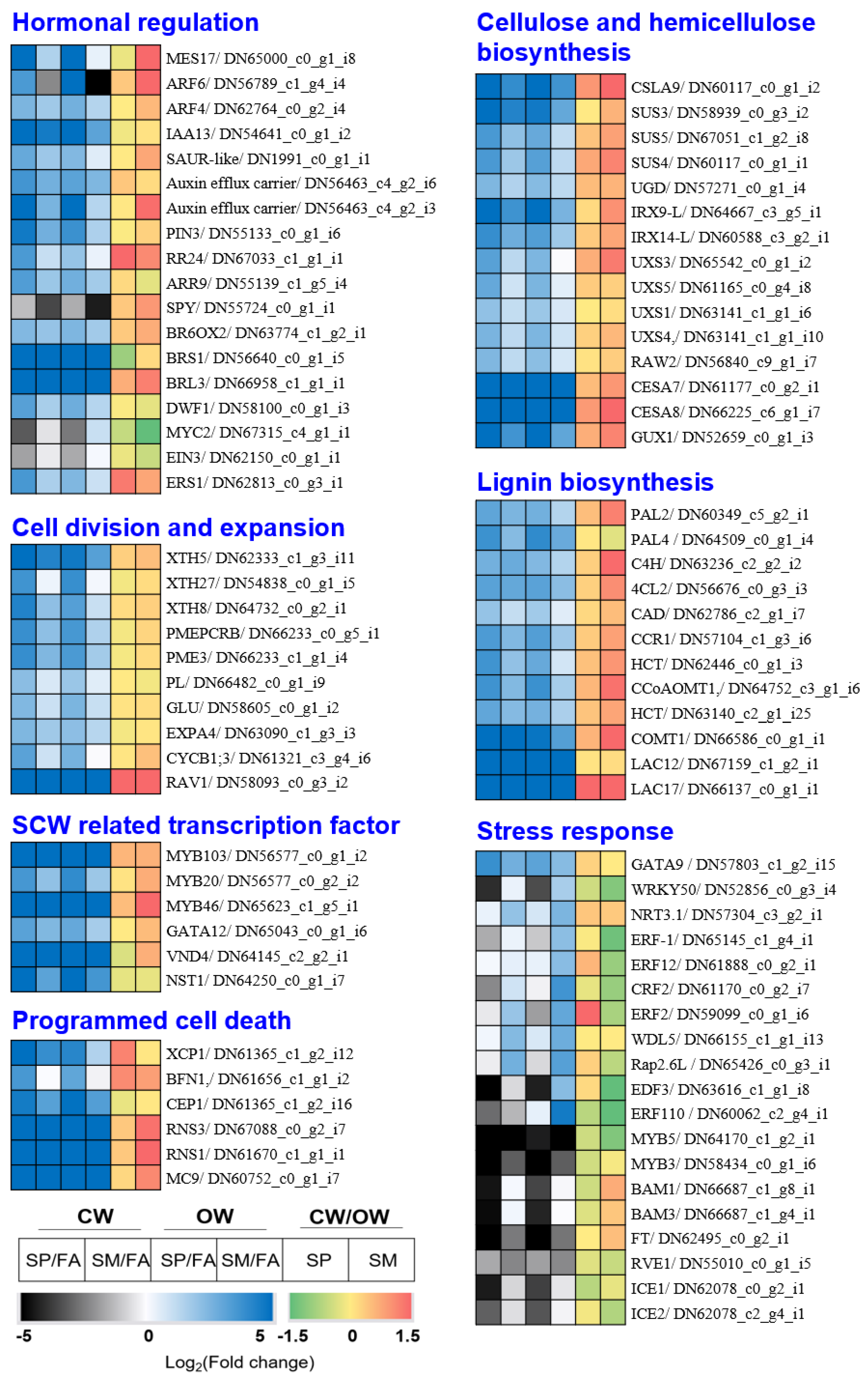 Genes 14 01698 g003