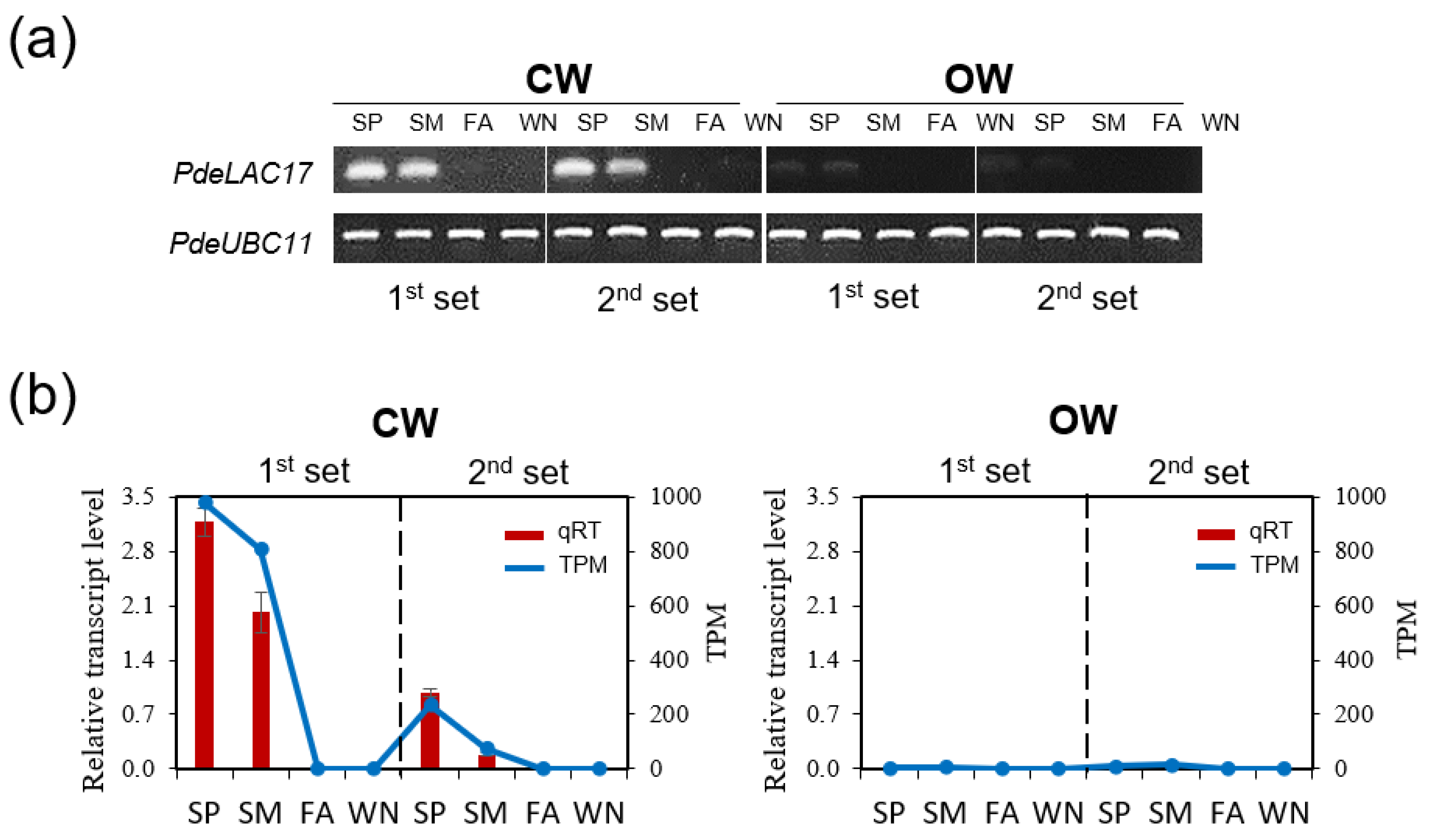 Genes 14 01698 g007