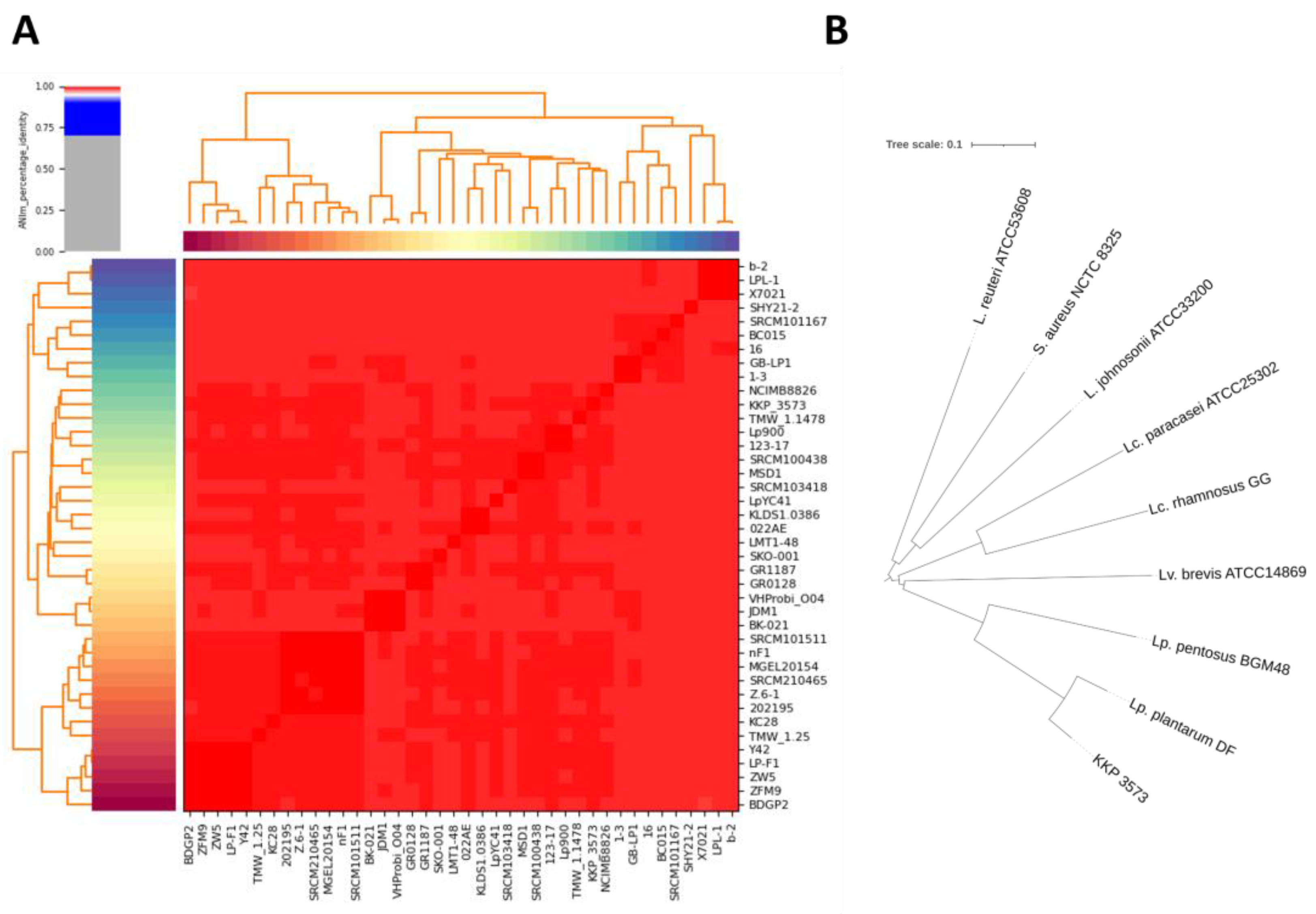 Genes 14 01710 g006