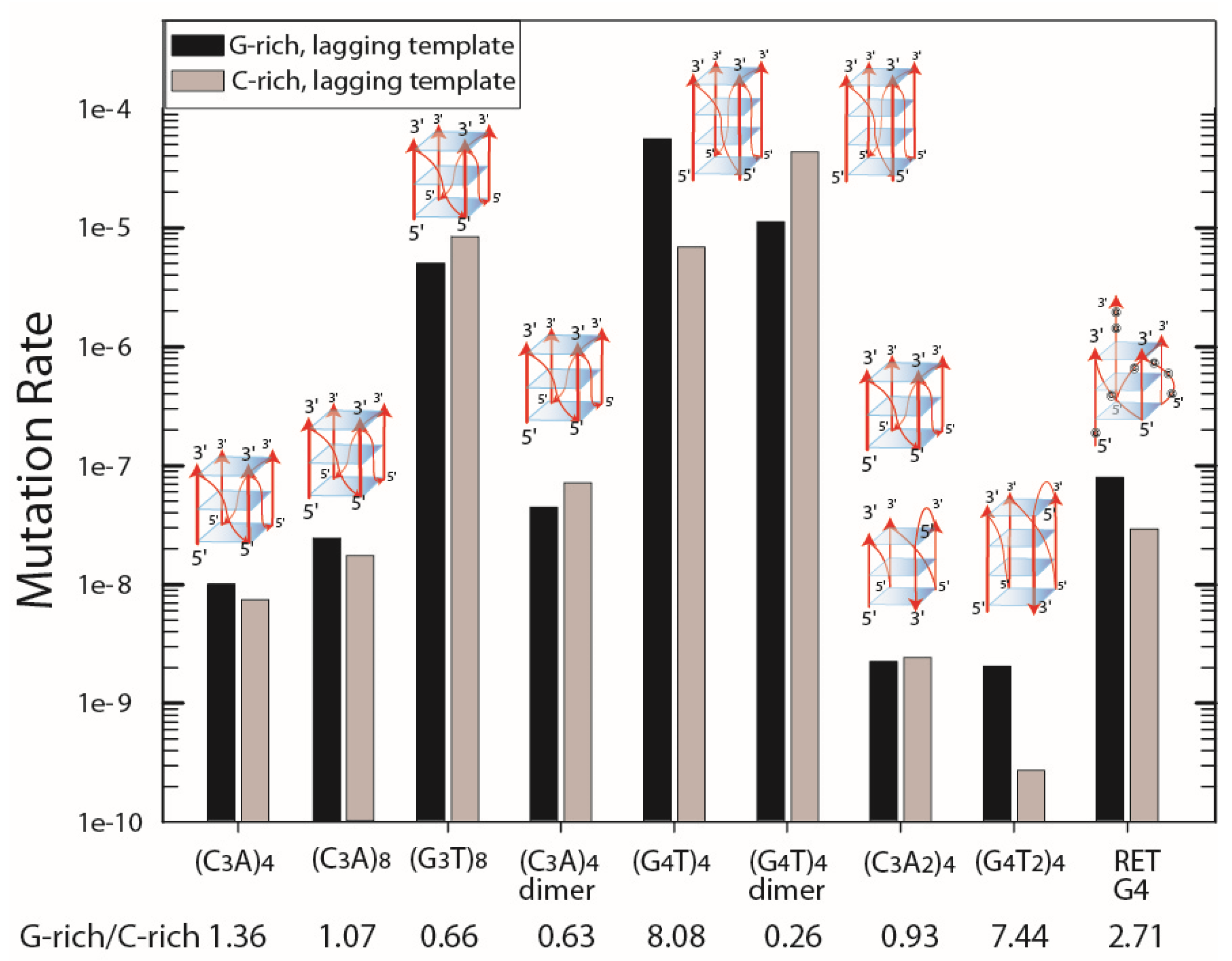 Genes 14 01720 g001