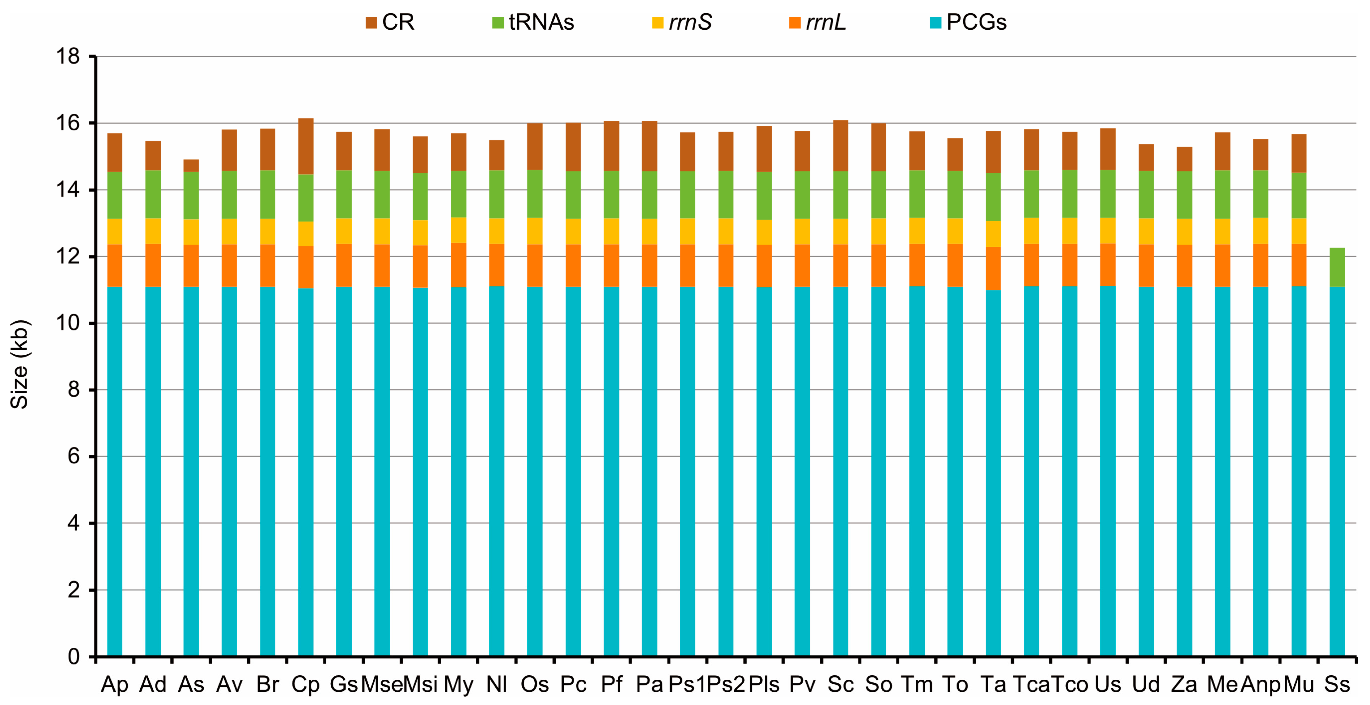 Genes 14 01738 g001 Genes 14 01738 g001