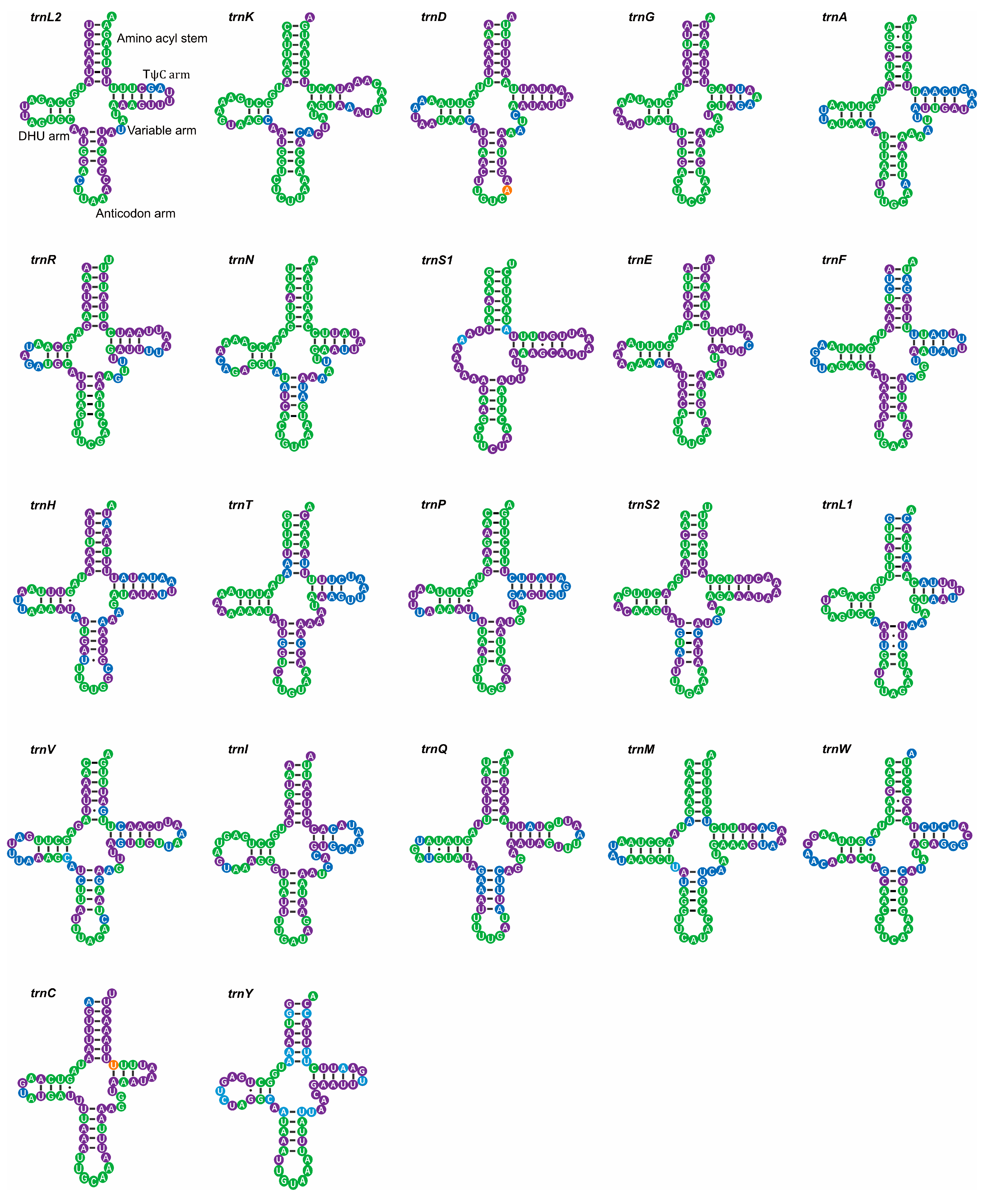 Genes 14 01738 g002 Genes 14 01738 g002