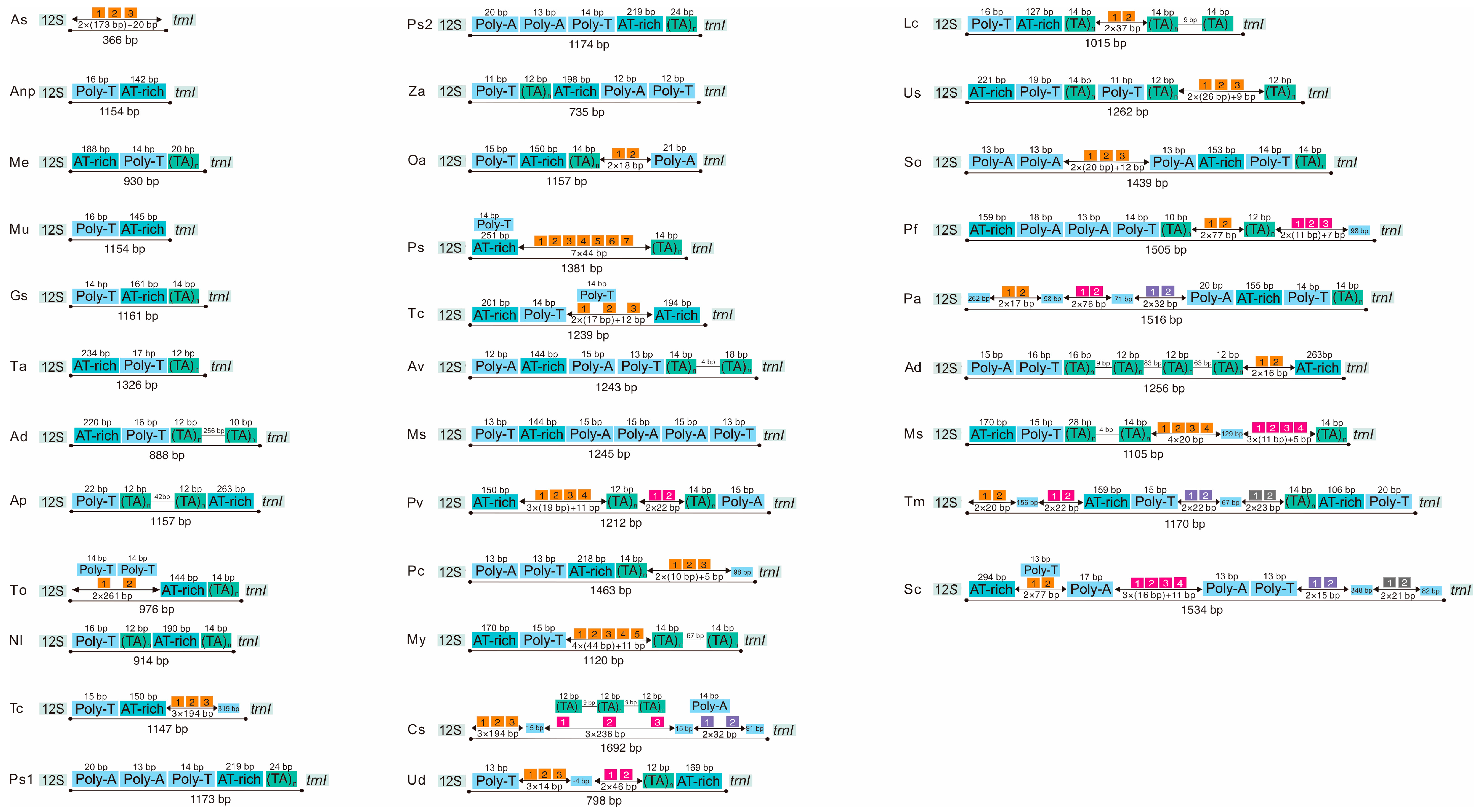 Genes 14 01738 g007 Genes 14 01738 g007