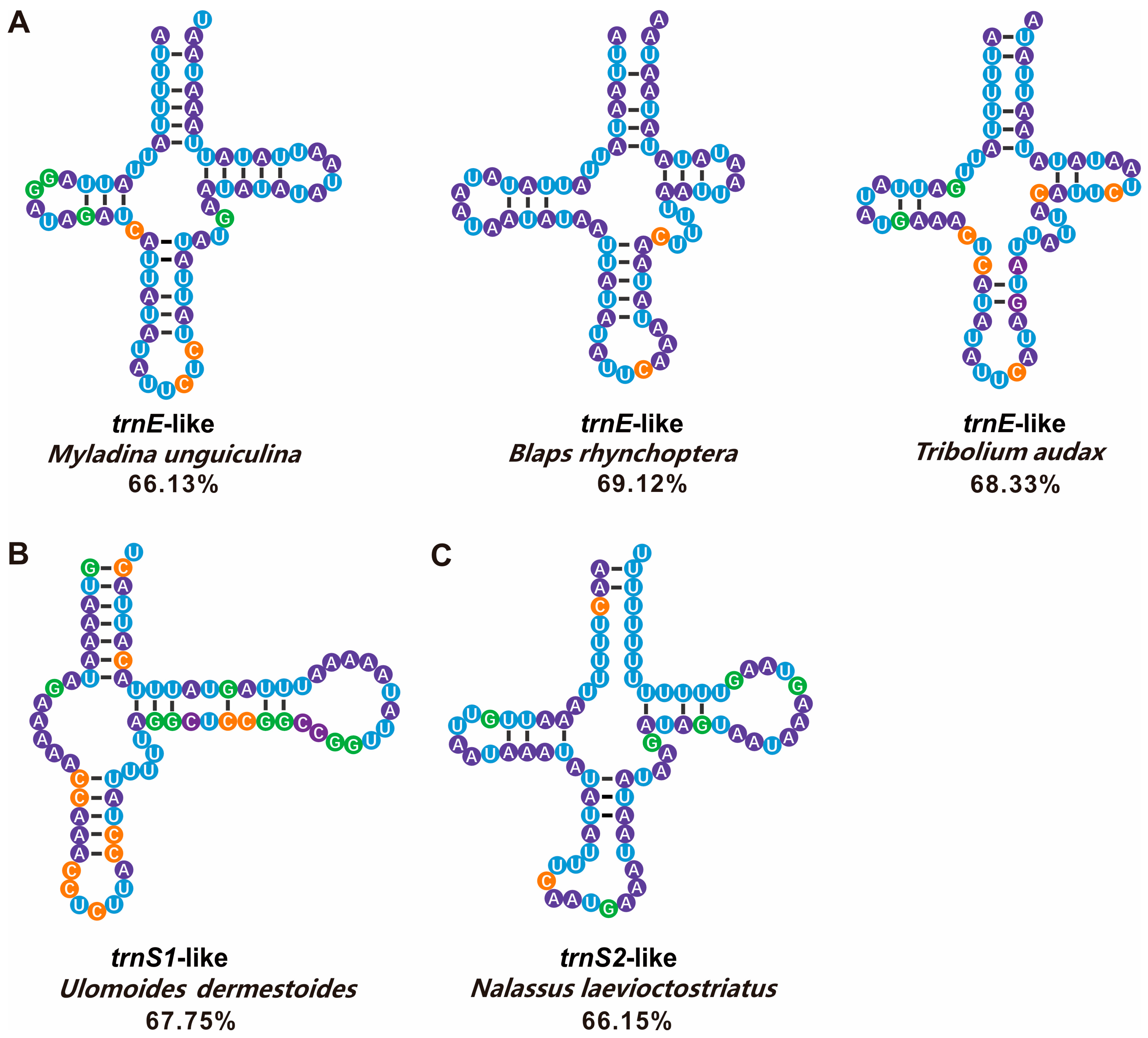 Genes 14 01738 g008 Genes 14 01738 g008