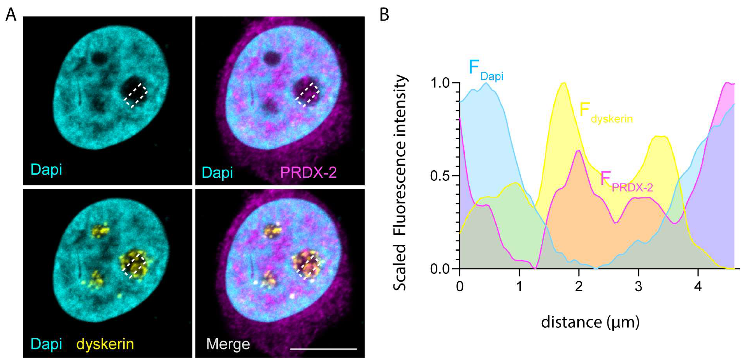 Genes 14 01766 g002 Genes 14 01766 g002