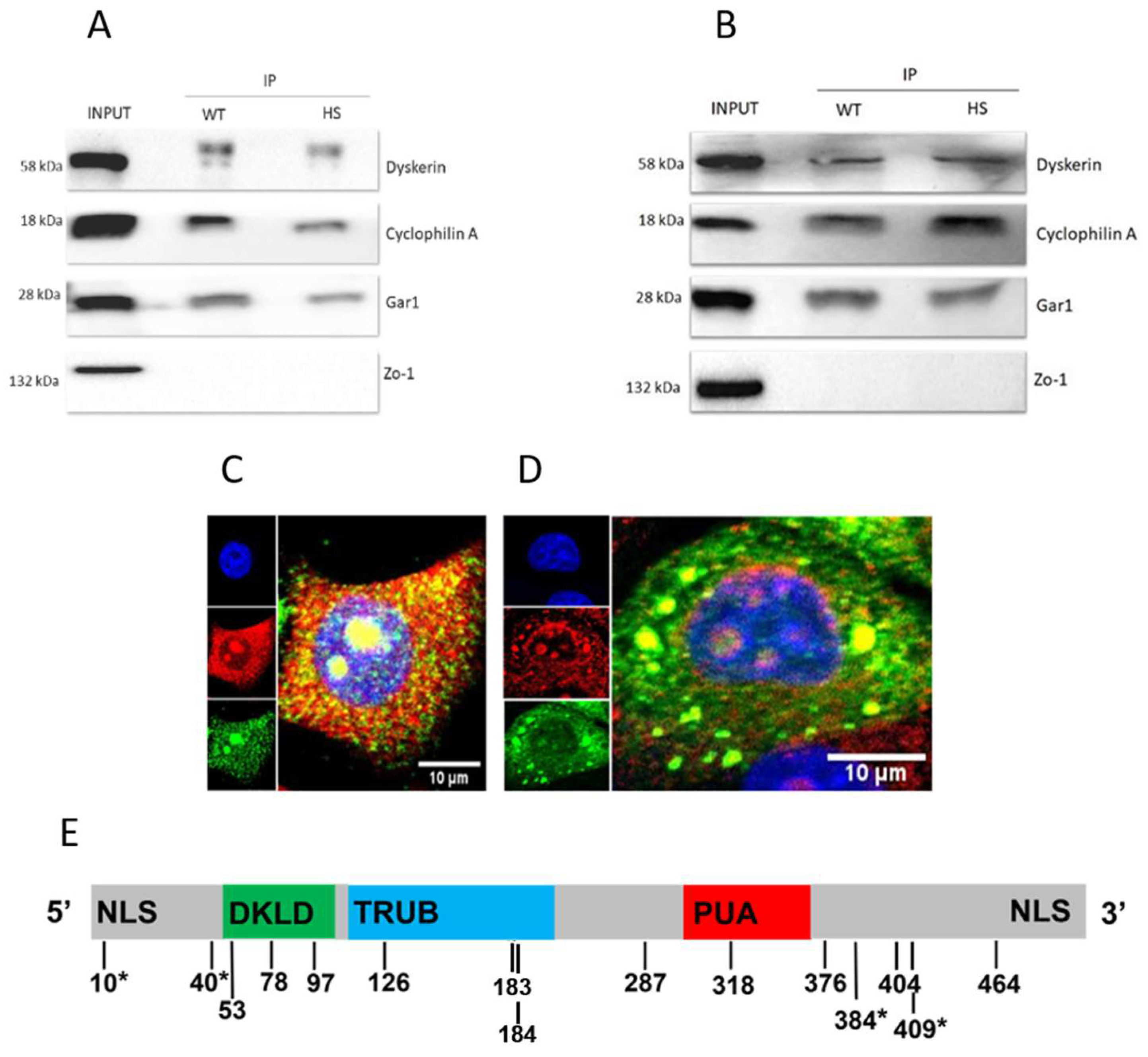 Genes 14 01766 g003 Genes 14 01766 g003
