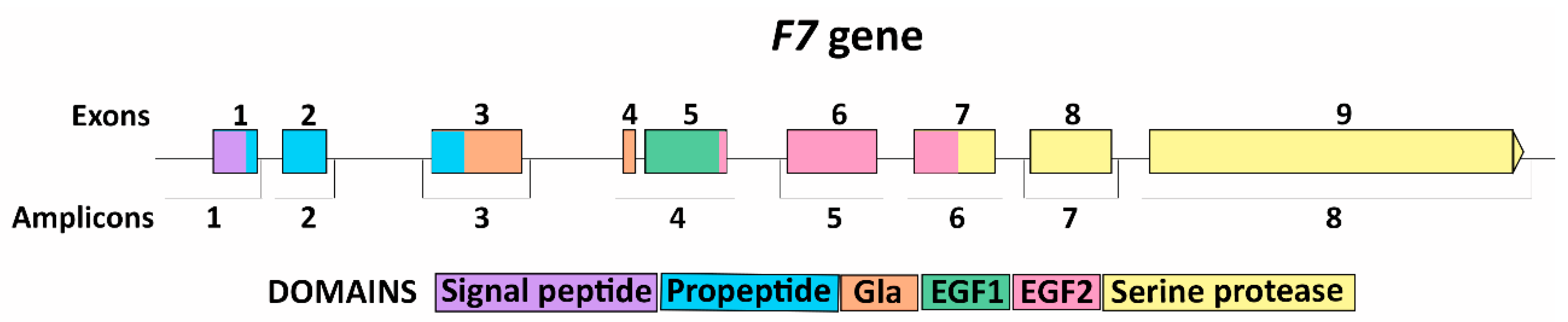 Genes 14 01767 g001