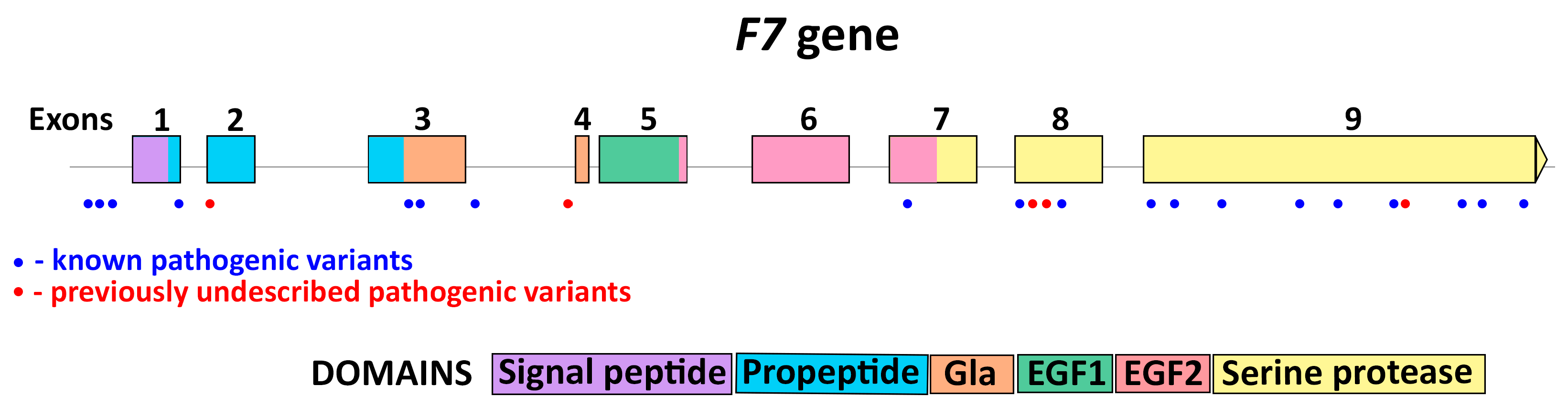 Genes 14 01767 g002