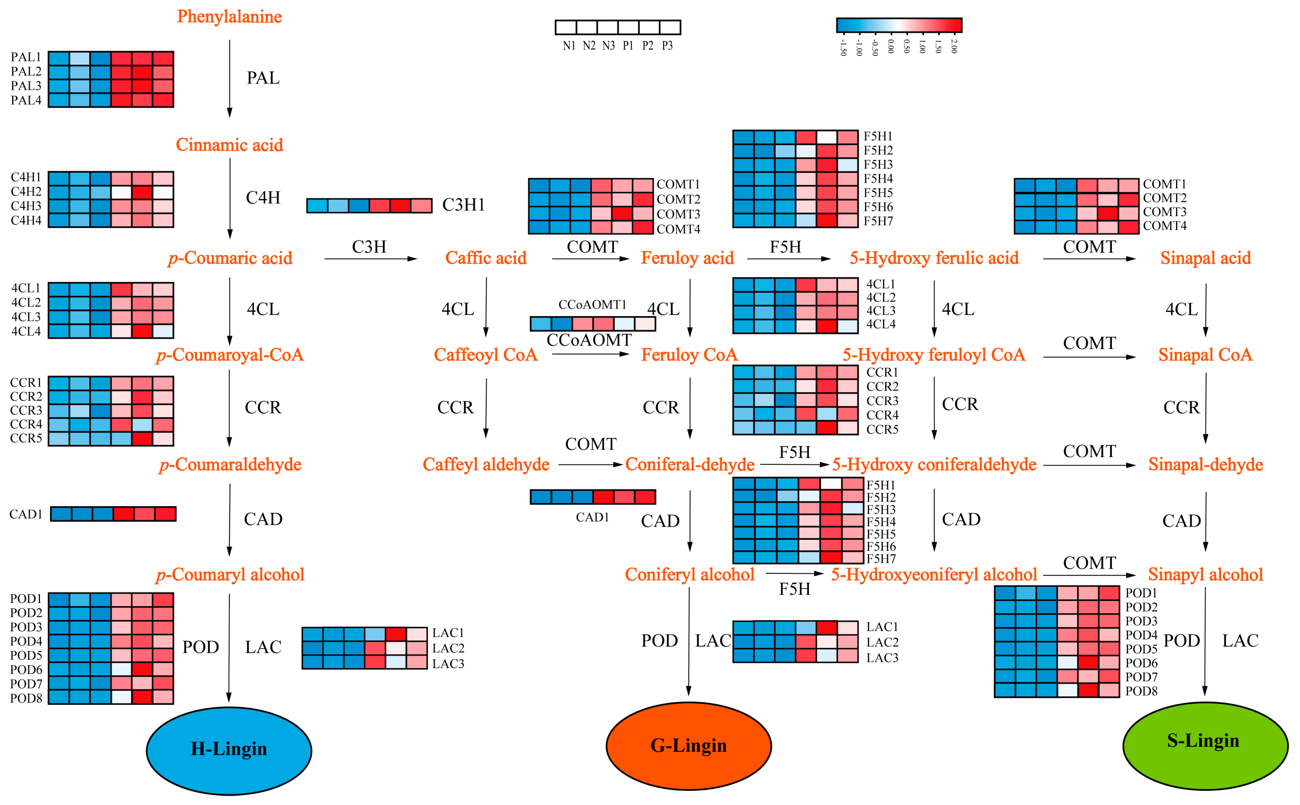 Genes 14 01785 g006