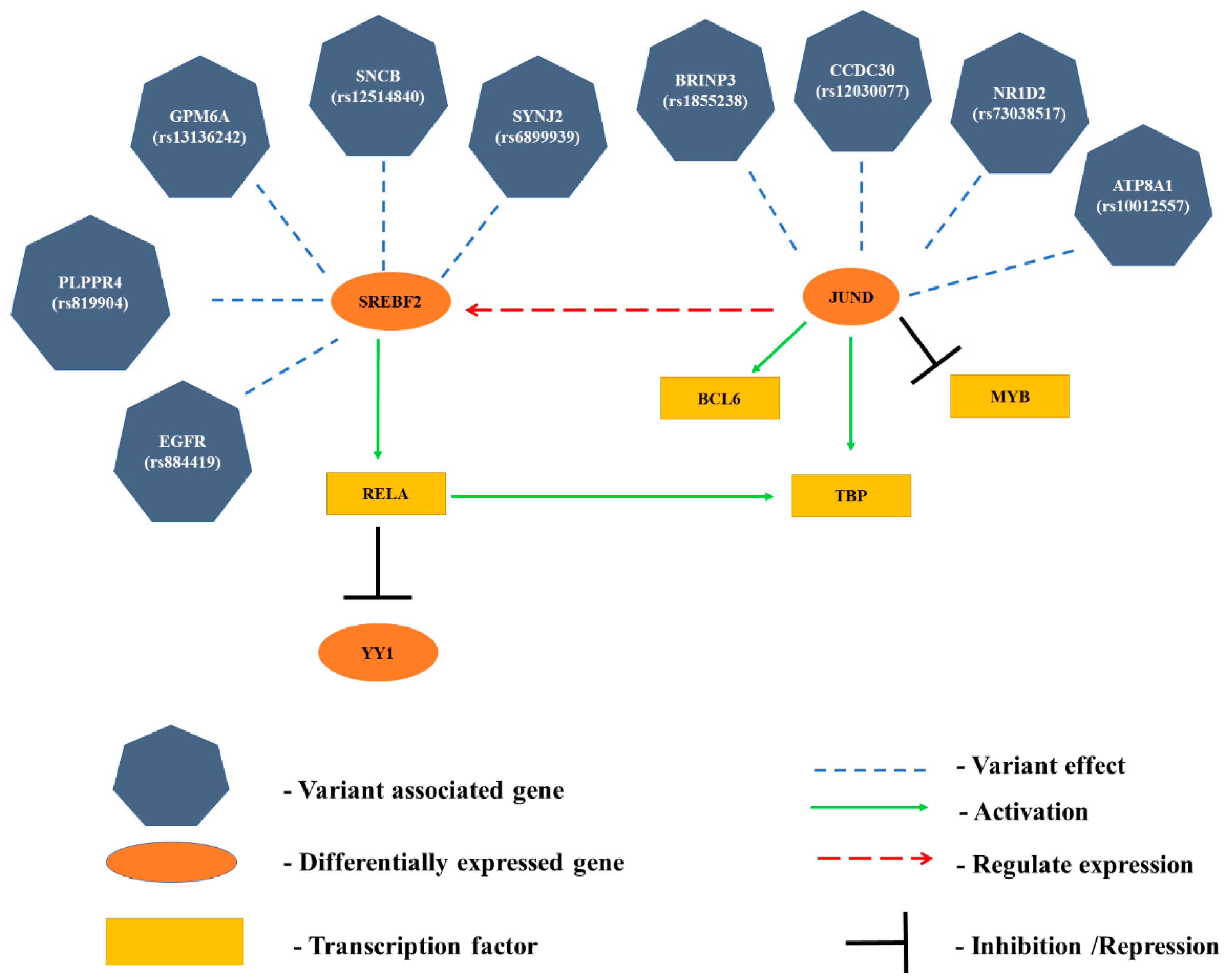 Genes 14 01801 g009 Genes 14 01801 g009