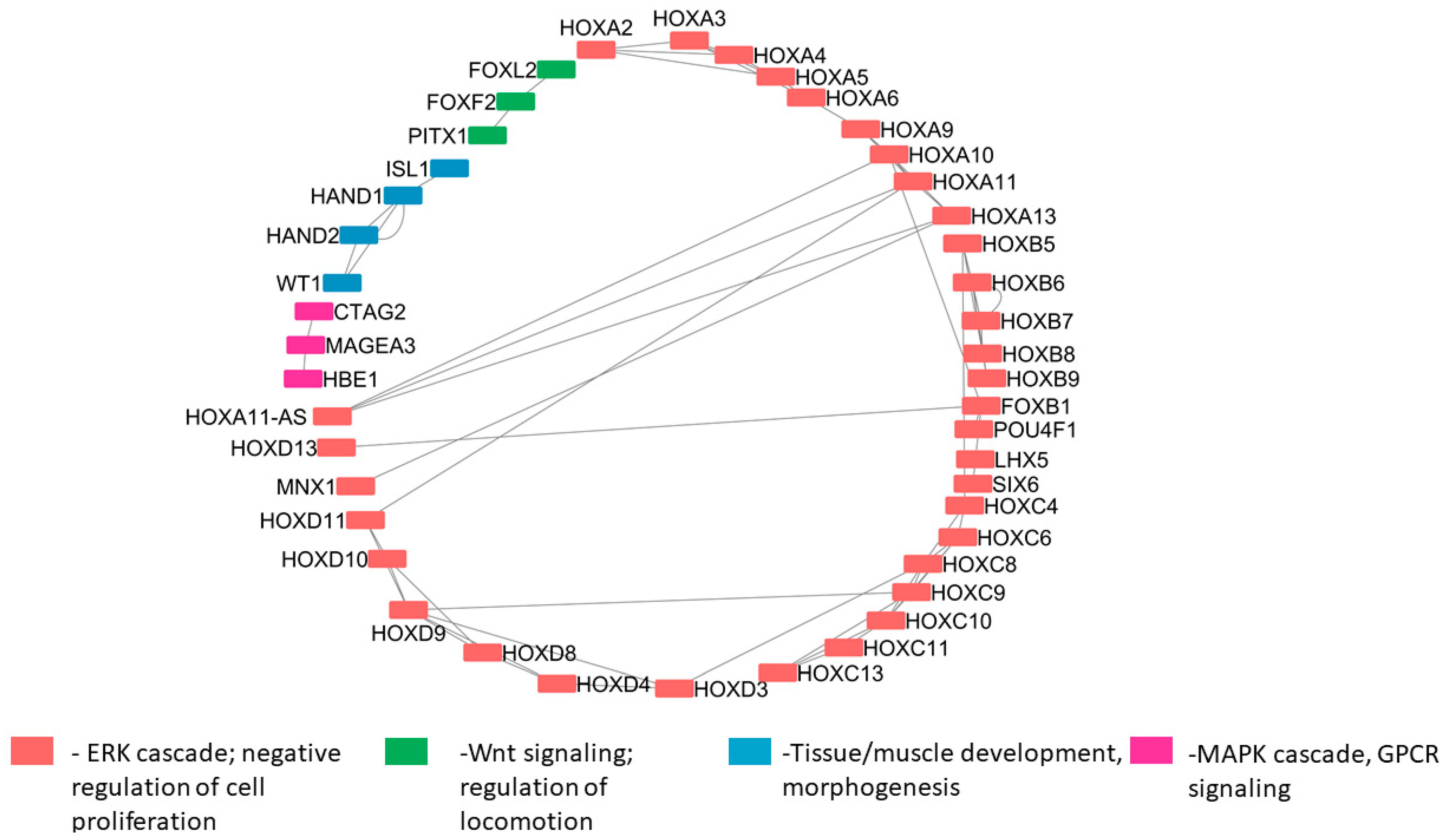 Genes 14 01801 g010 Genes 14 01801 g010