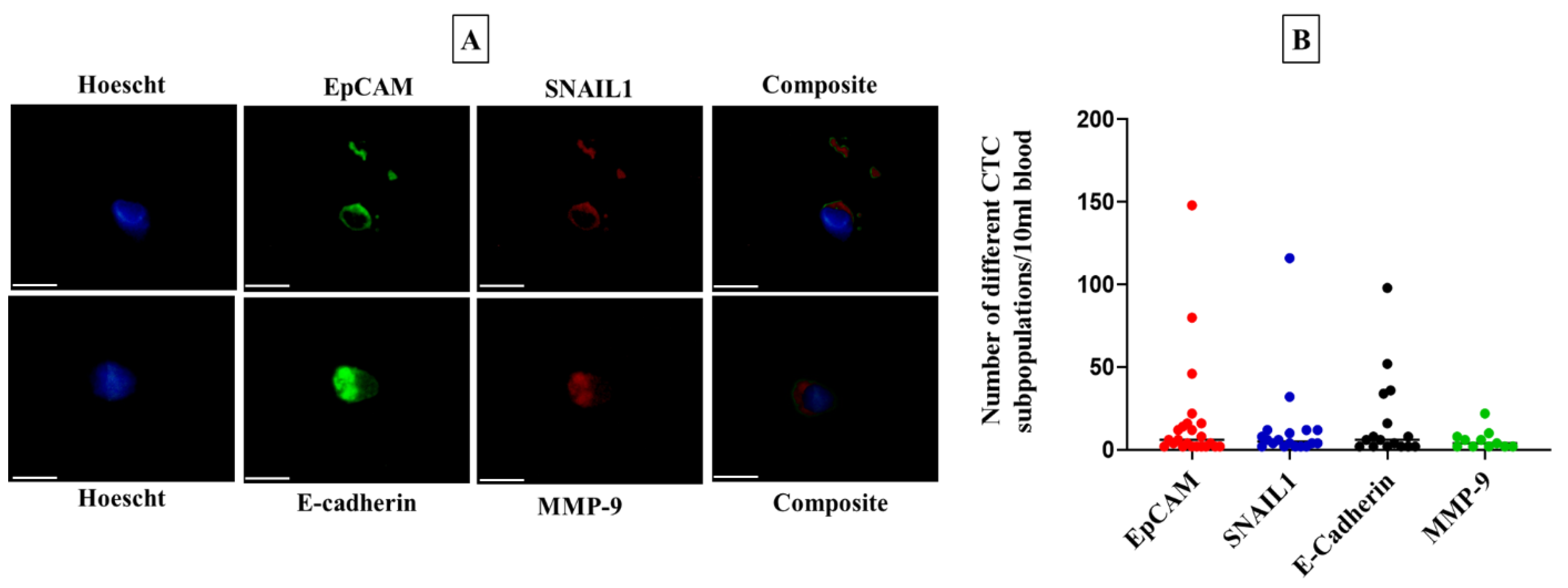 Genes | Free Full-Text | Correlation between KRAS Mutation and