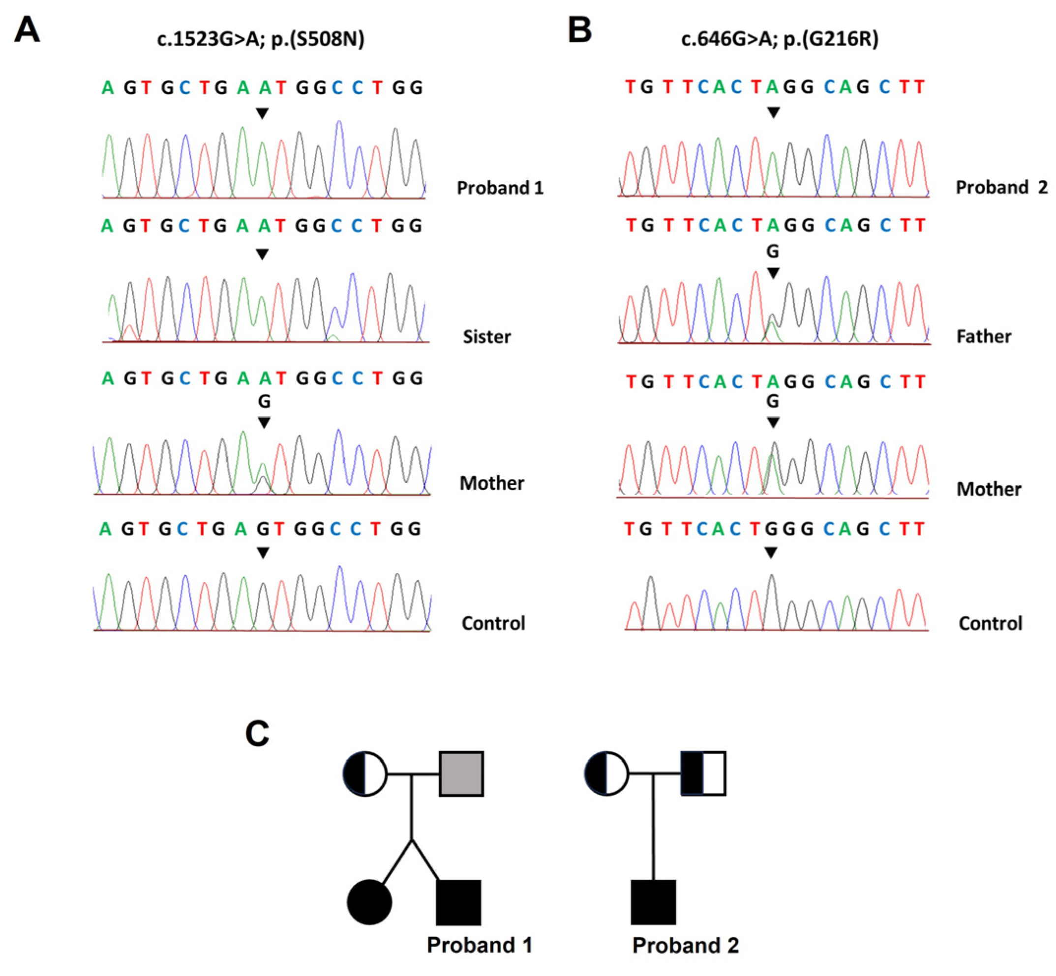 Genes 14 01823 g001