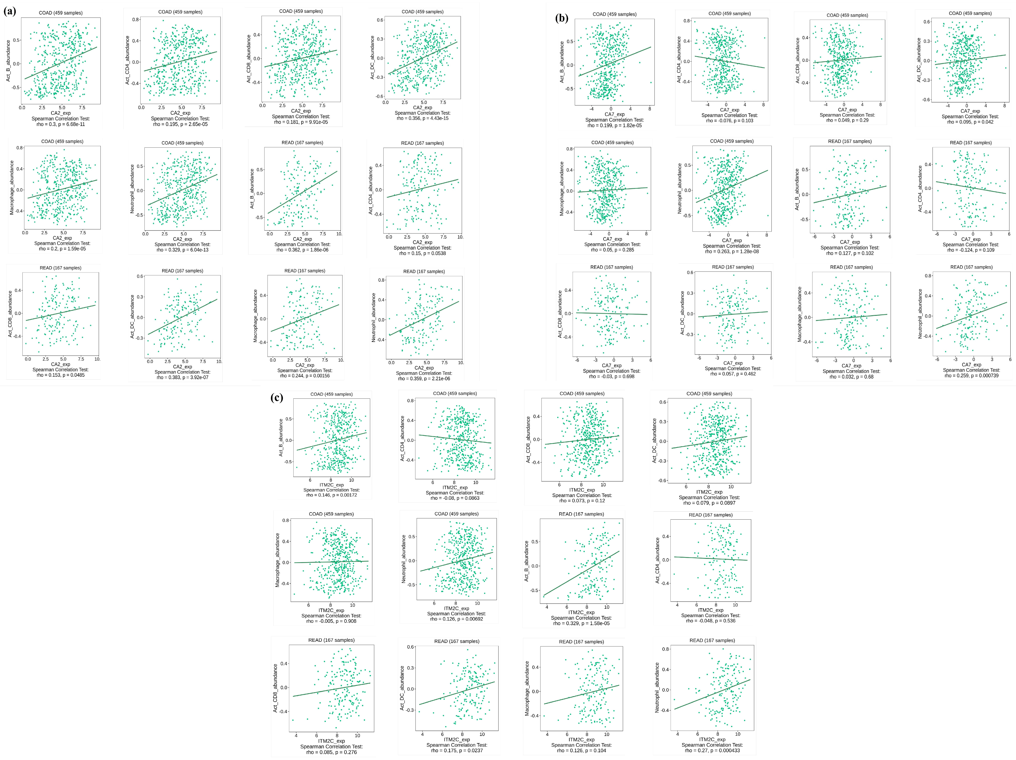 Genes 14 01836 g009 Genes 14 01836 g009