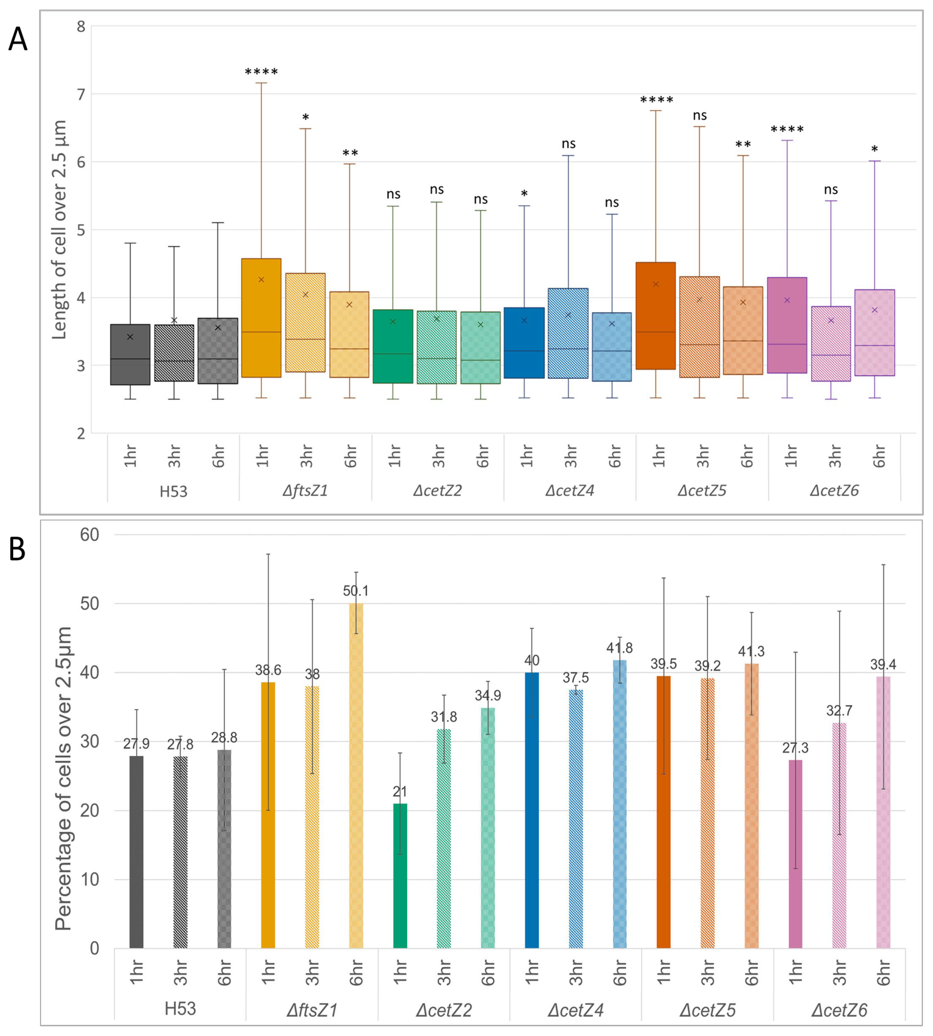 Genes 14 01861 g004