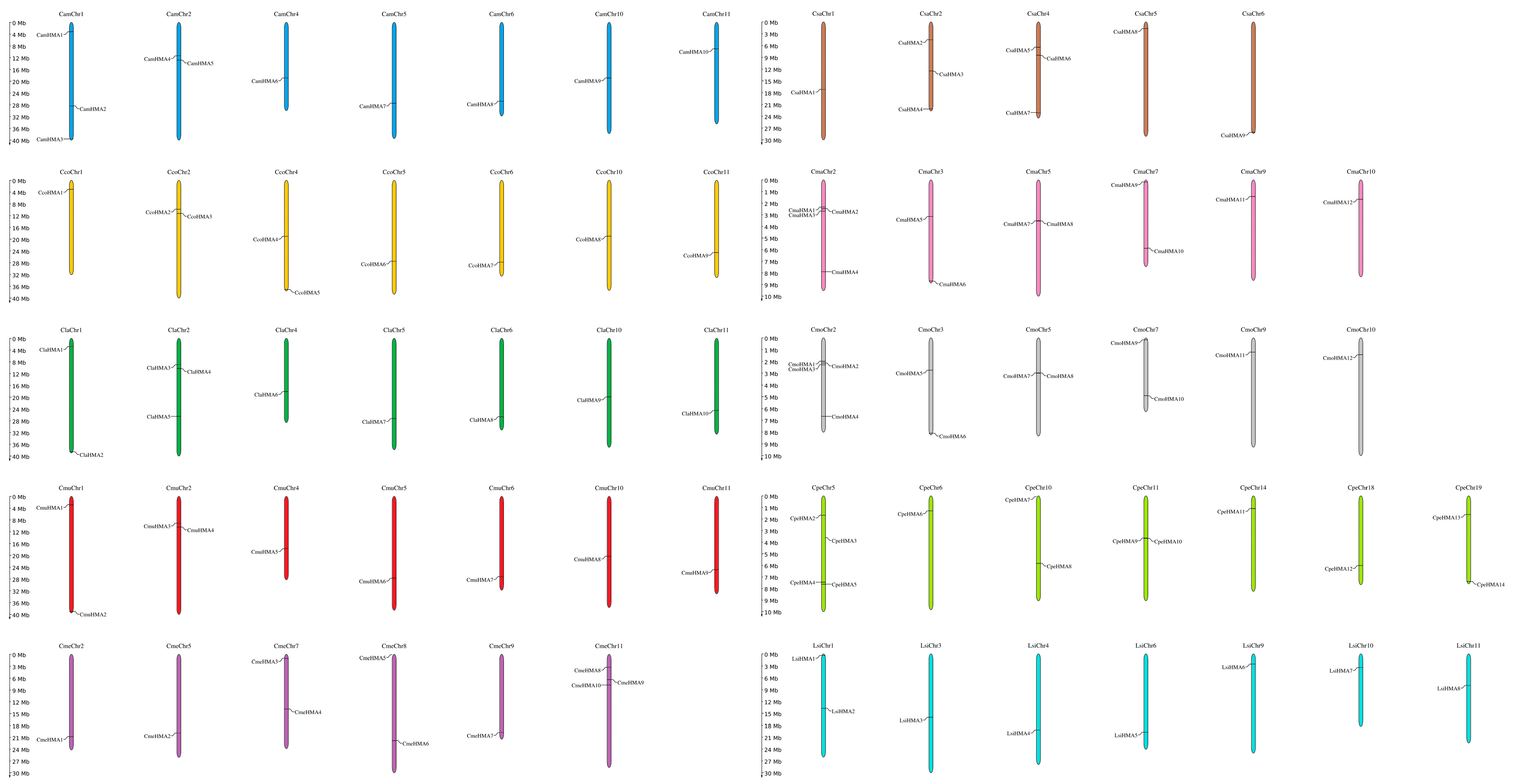 Genes 14 01877 g001 Genes 14 01877 g001
