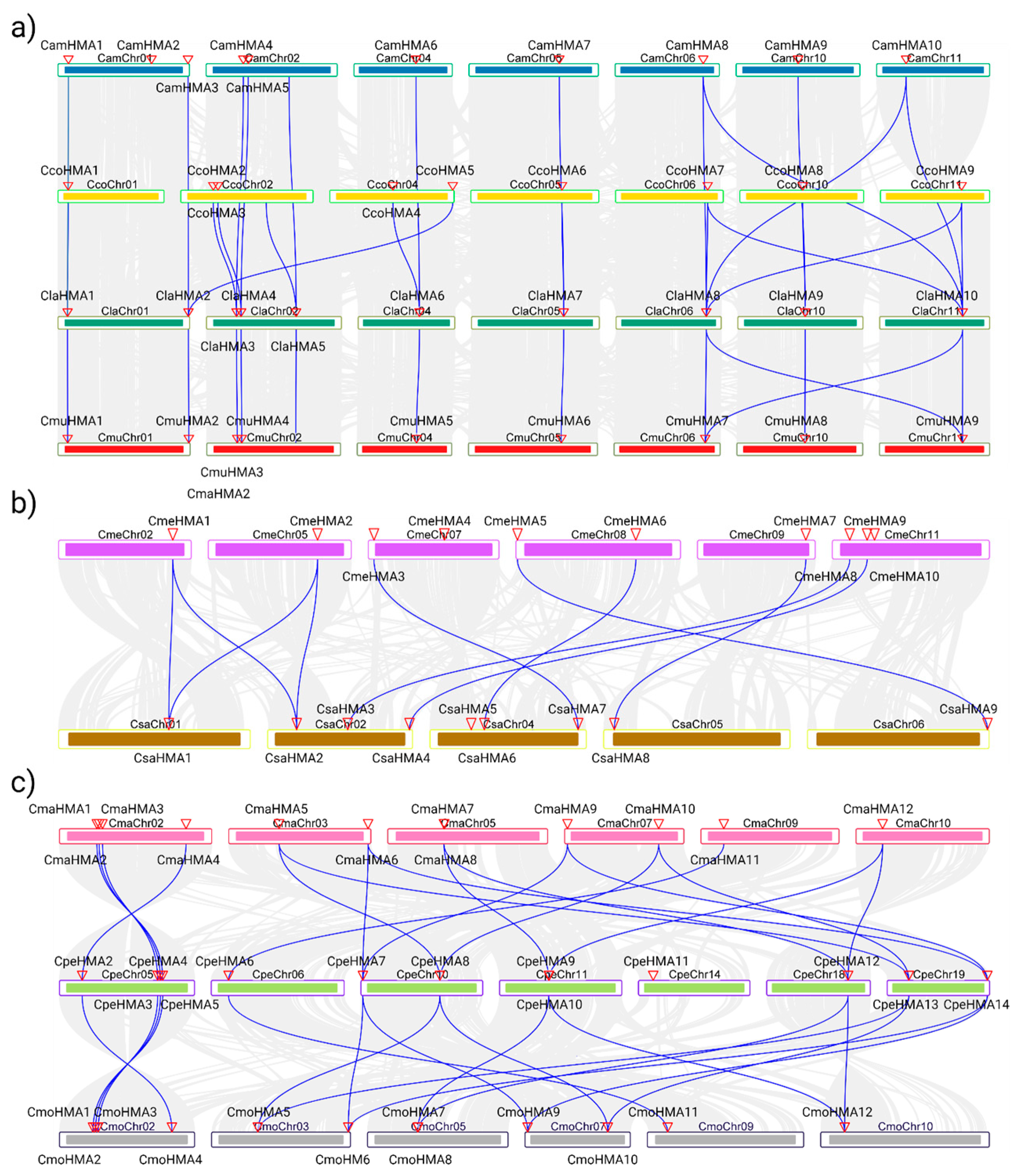 Genes 14 01877 g004 Genes 14 01877 g004