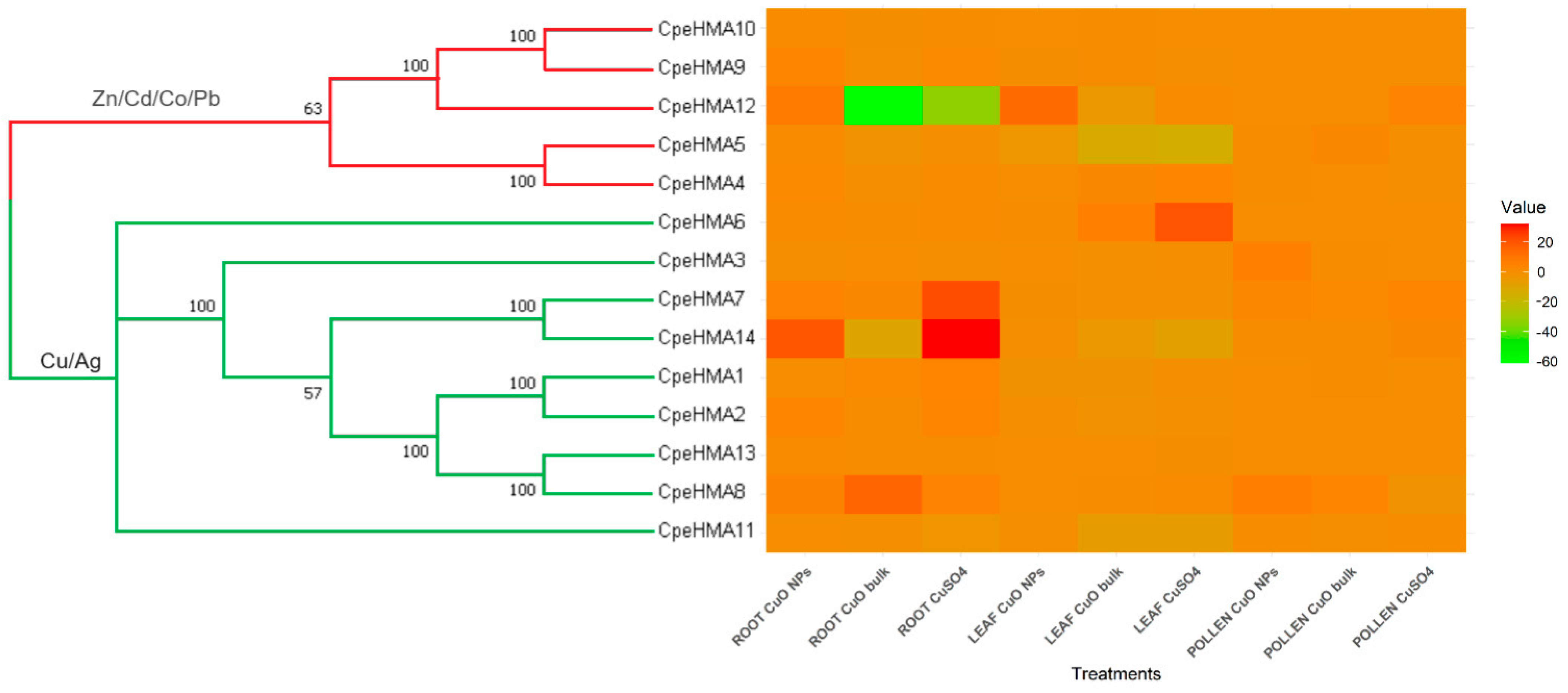 Genes 14 01877 g007 Genes 14 01877 g007
