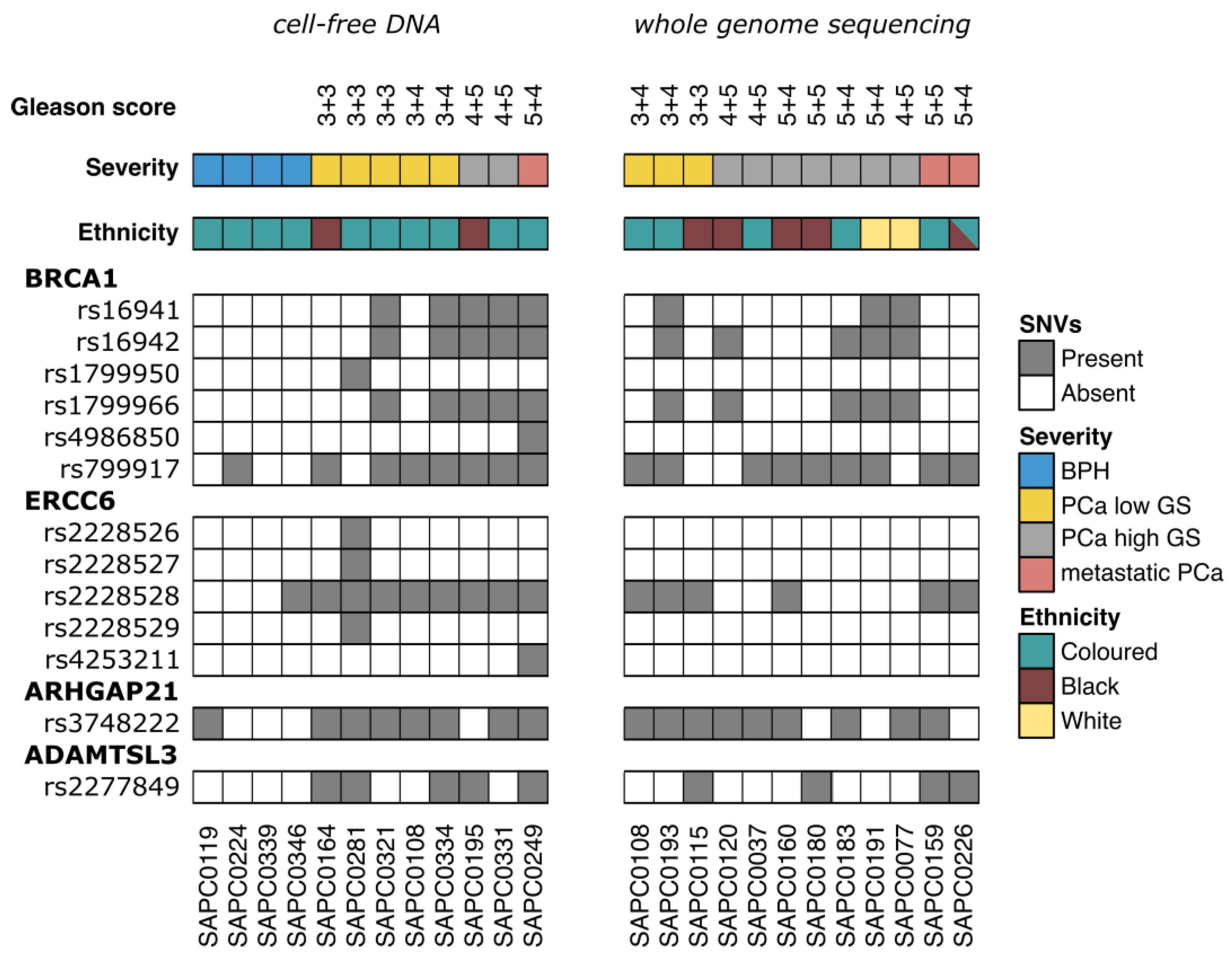 Genes 14 01884 g002 Genes 14 01884 g002