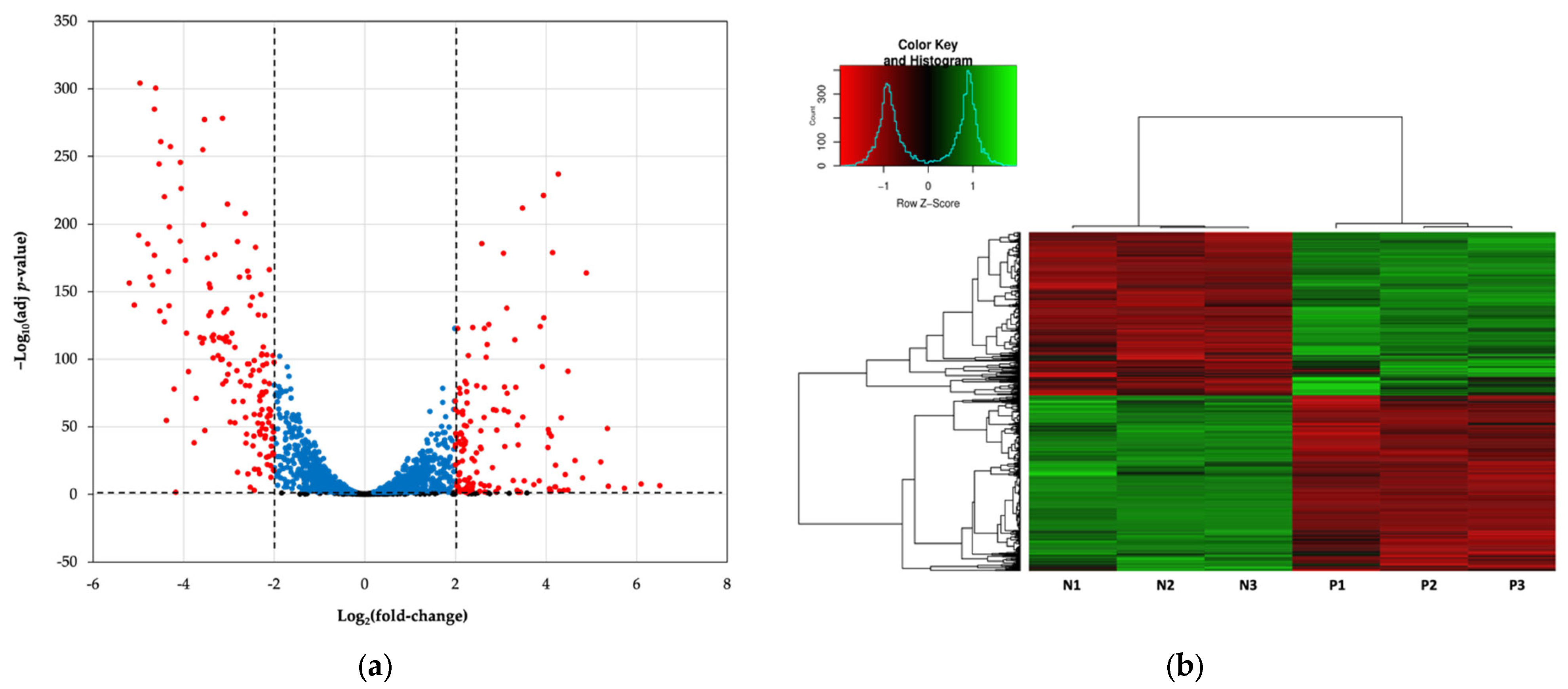 Genes 14 01887 g002