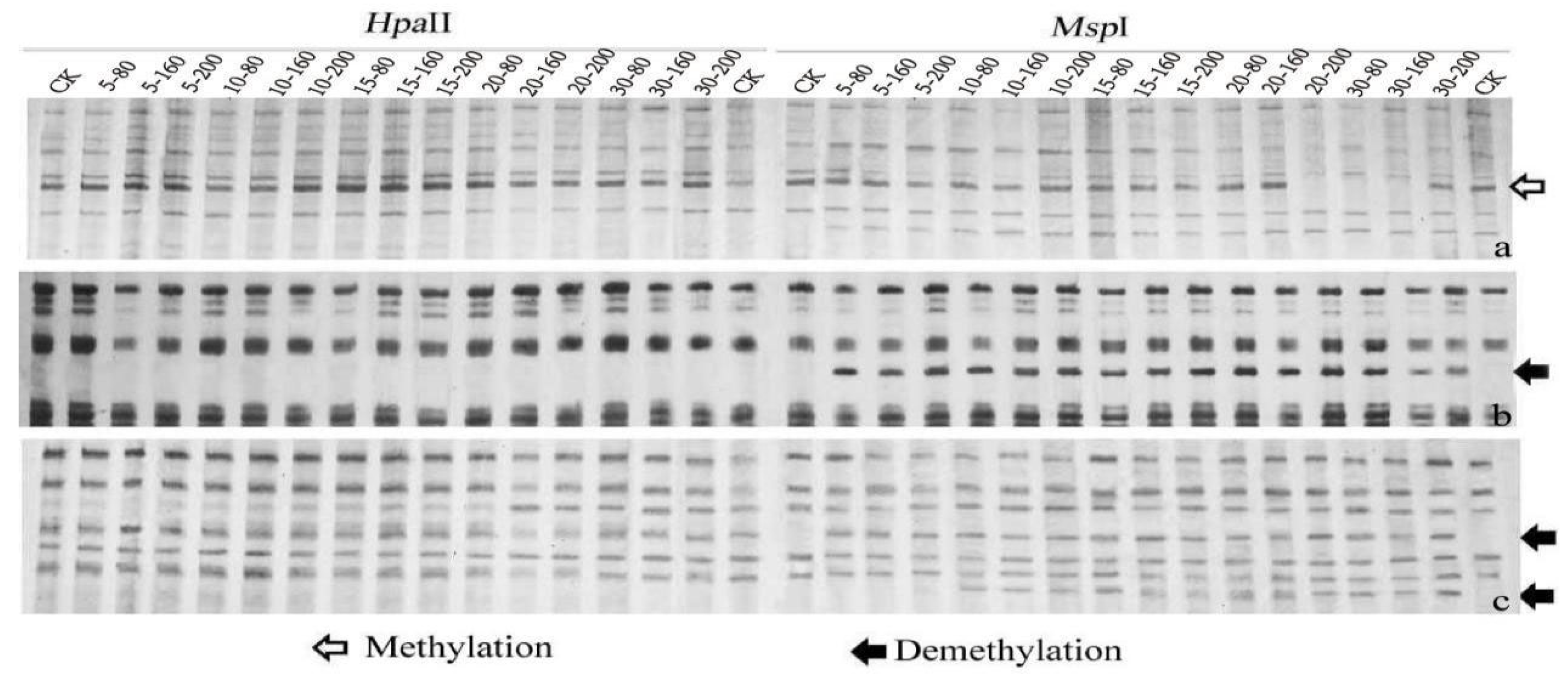 Genes 14 01888 g003