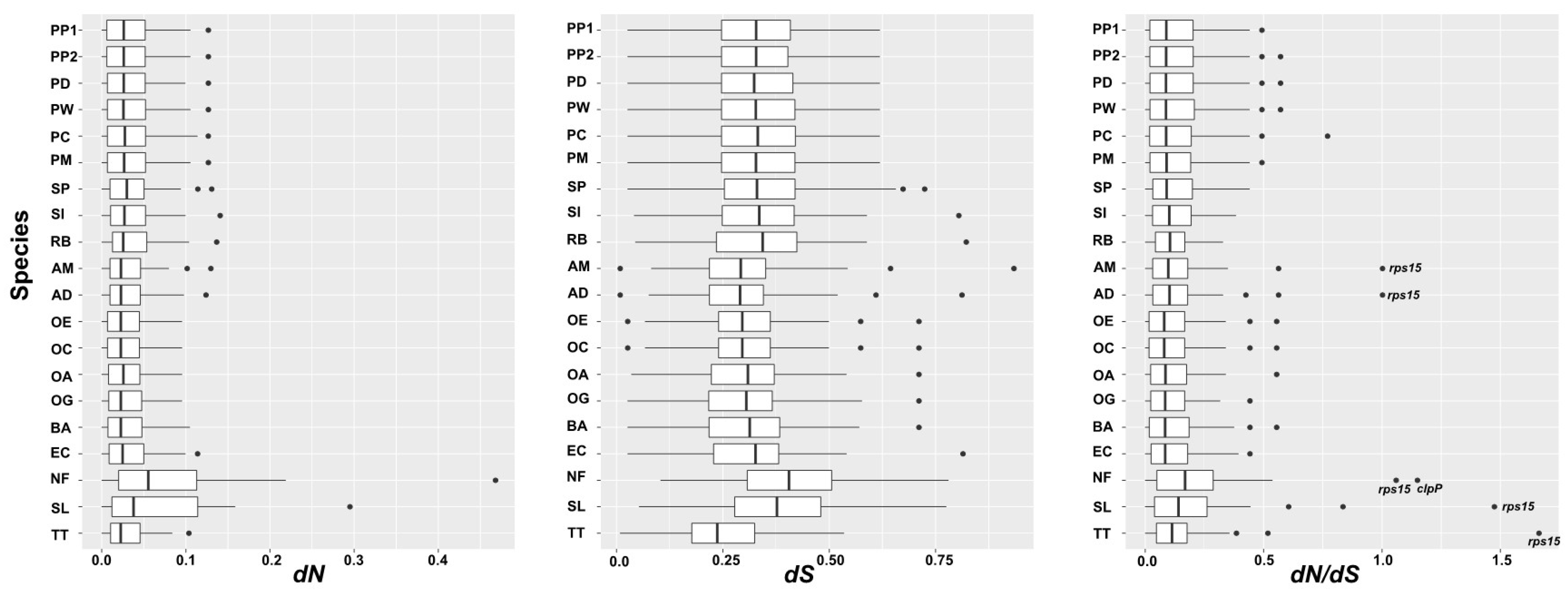 Genes | Free Full-Text | Comparative Plastid Genome And Phylogenomic ...