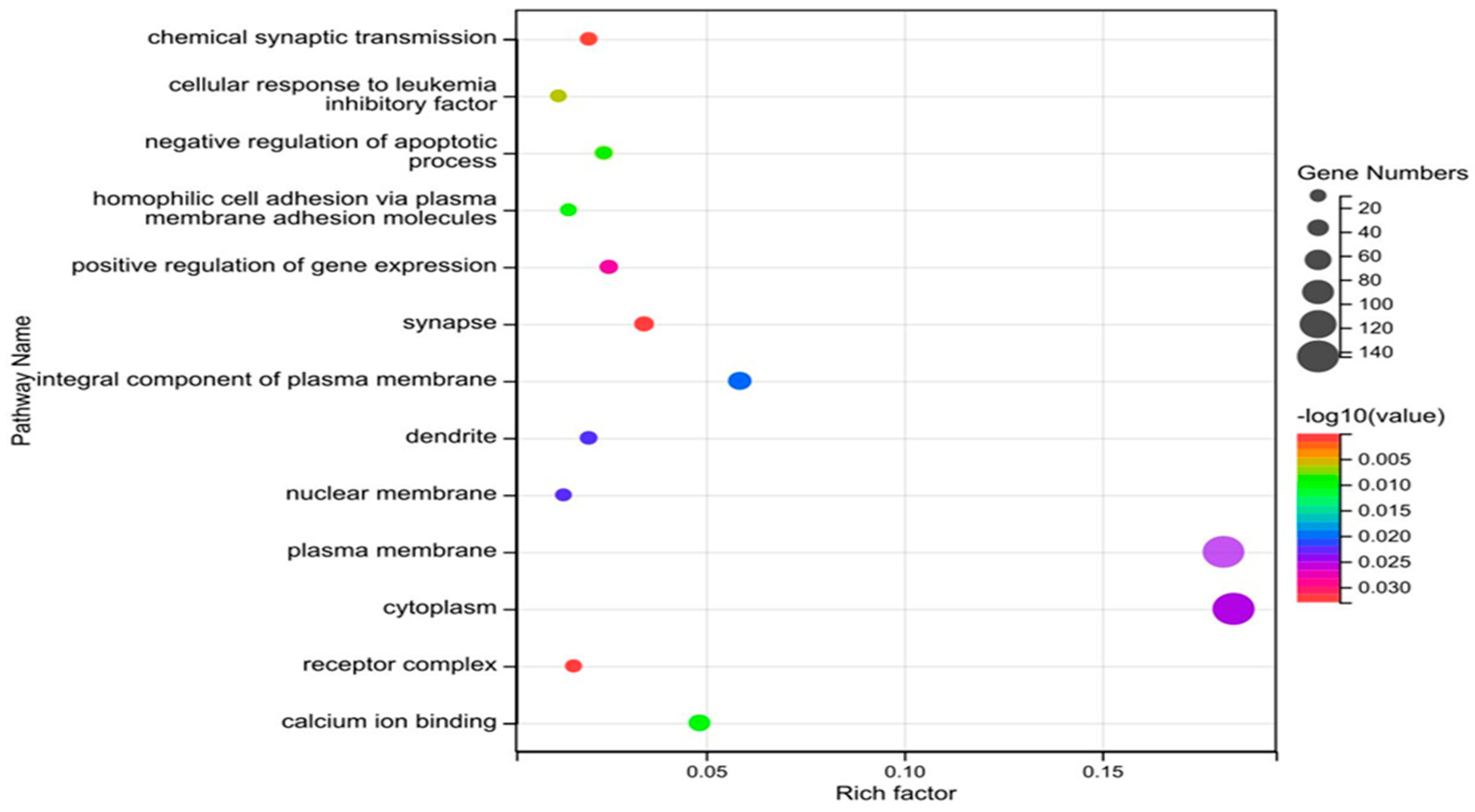 Genes 14 01934 g007 Genes 14 01934 g007