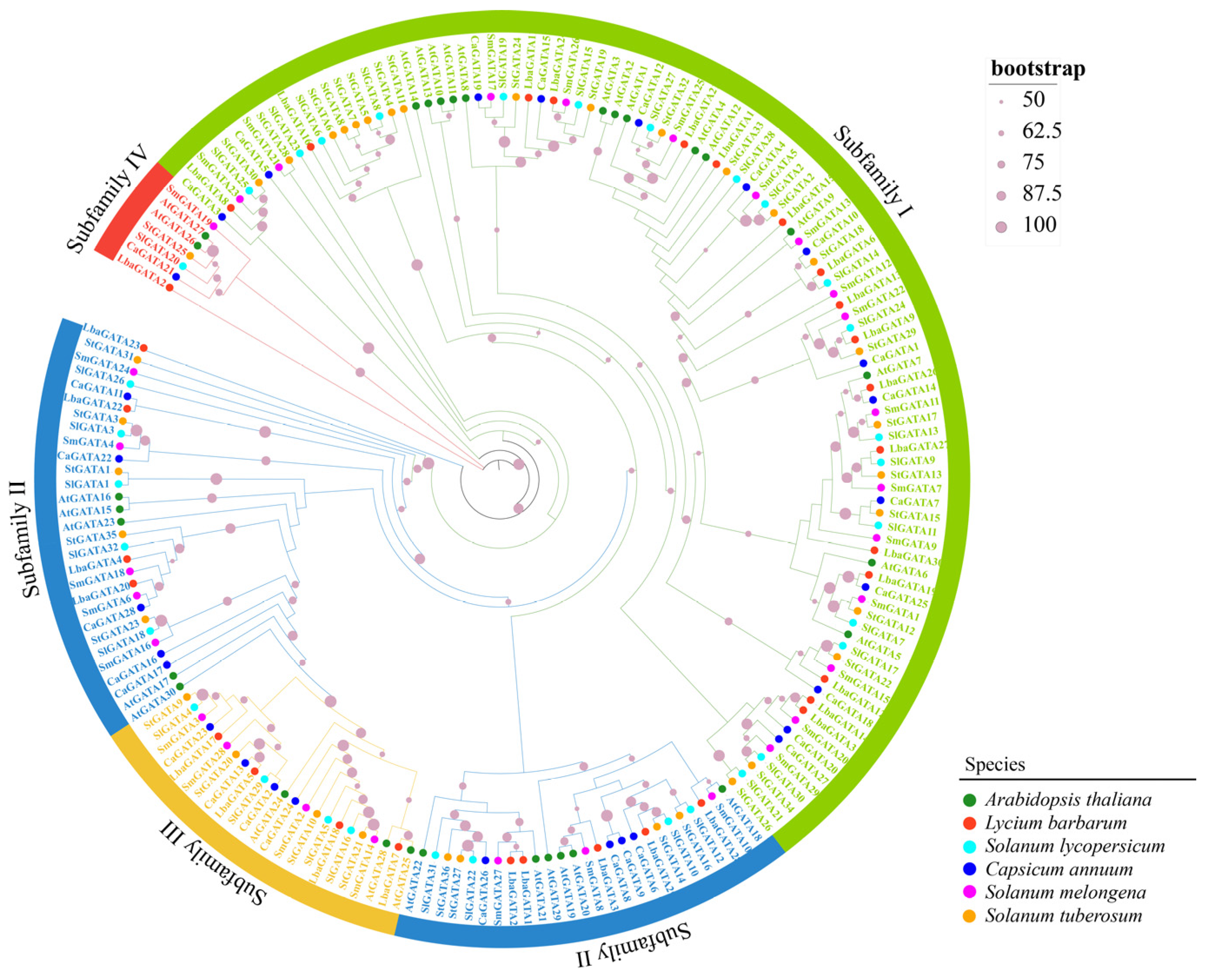 Genes 14 01943 g001