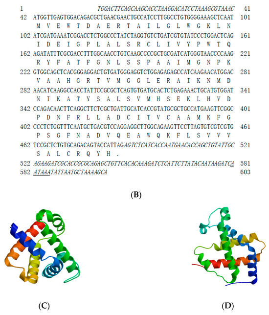 Genes | Free Full-Text | Characterization and Expression Analysis 