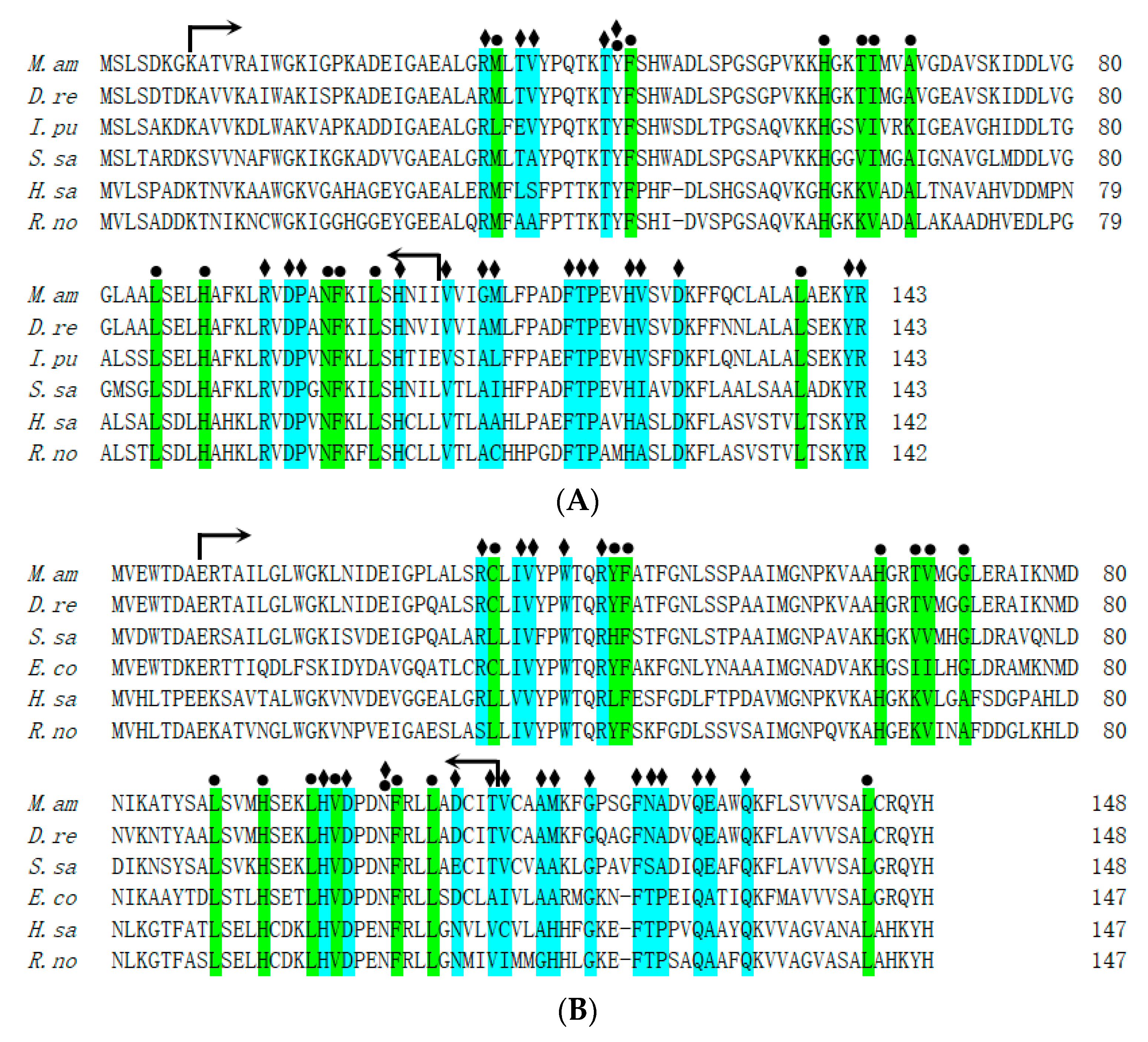 Genes 14 01972 g002