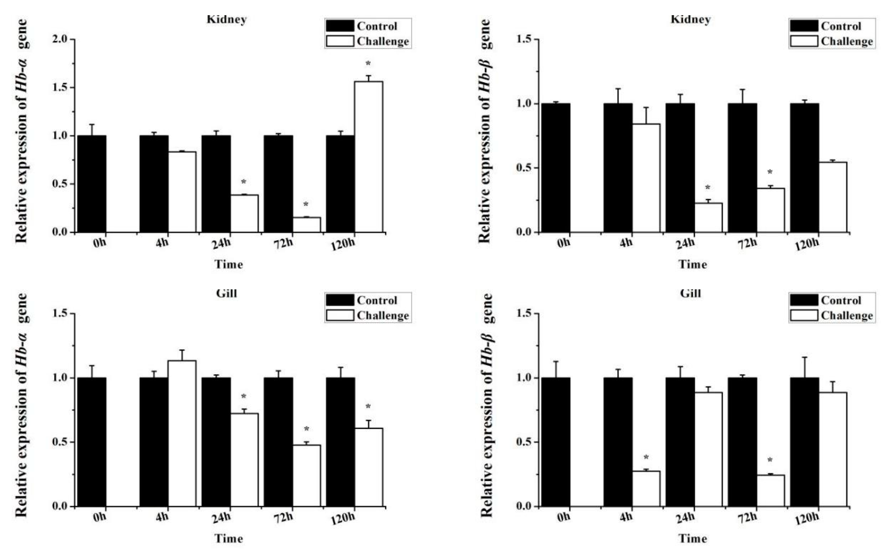 Genes 14 01972 g006b