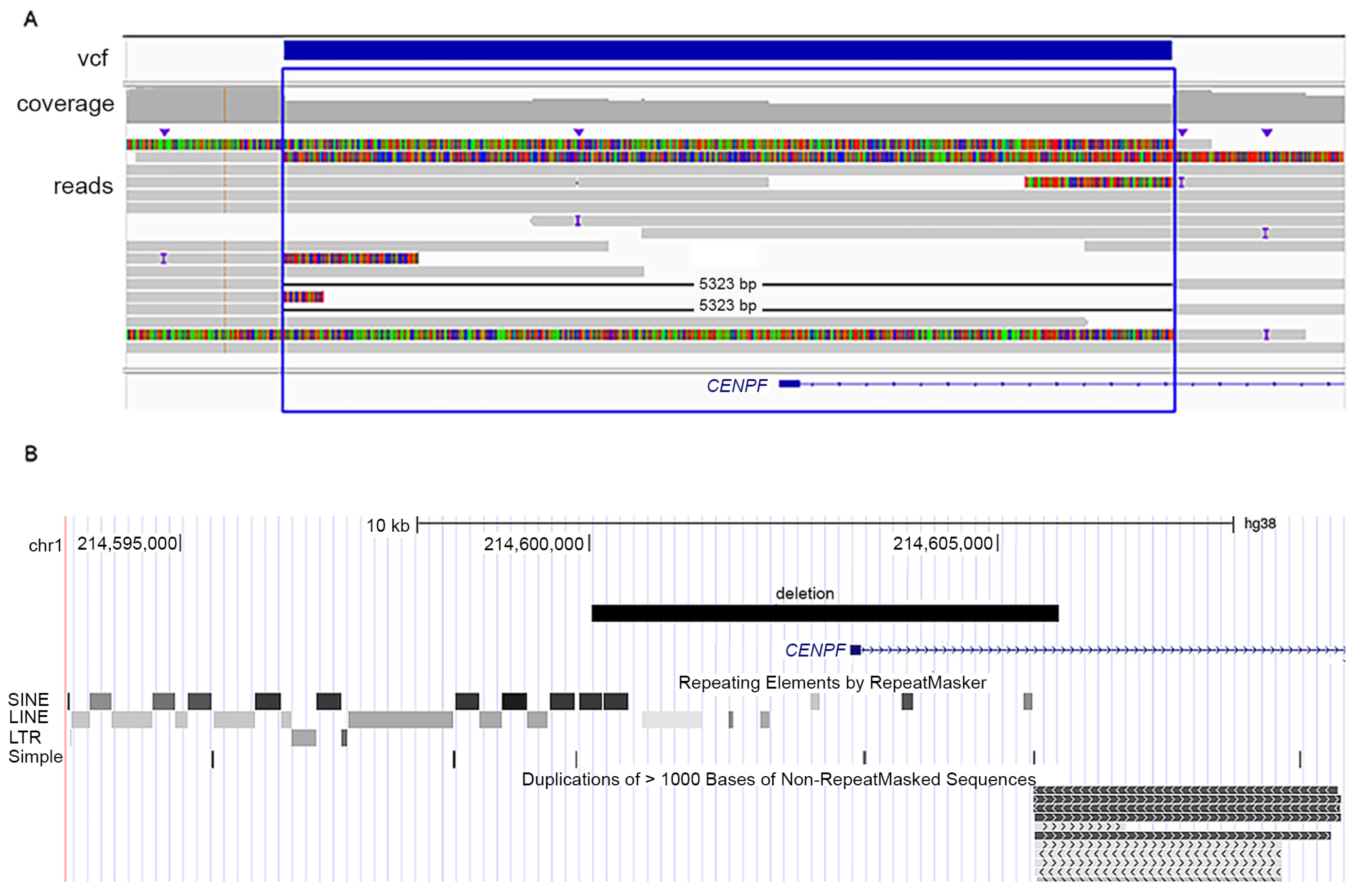 Genes 14 01985 g003 Genes 14 01985 g003