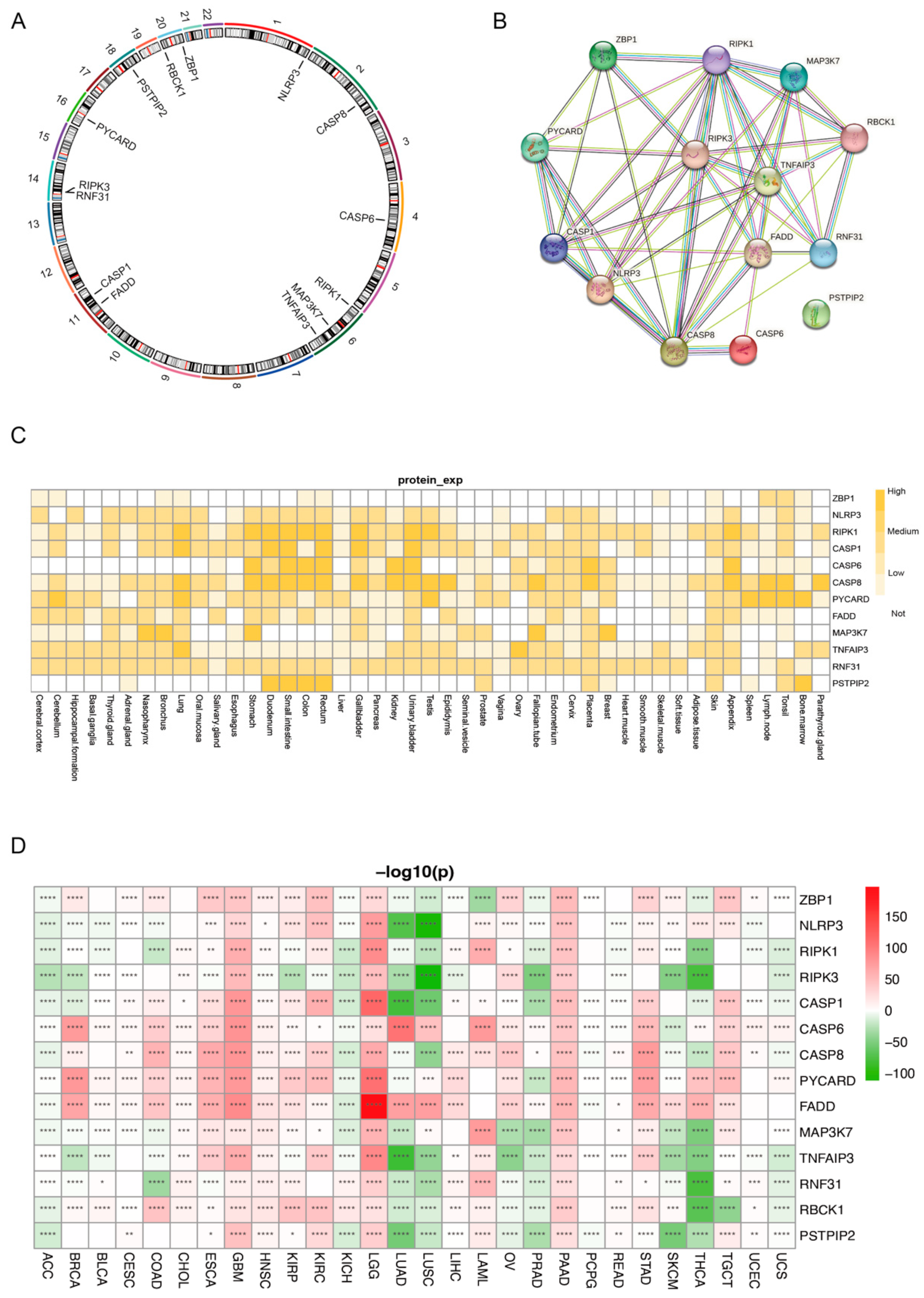 Genes 14 01994 g001