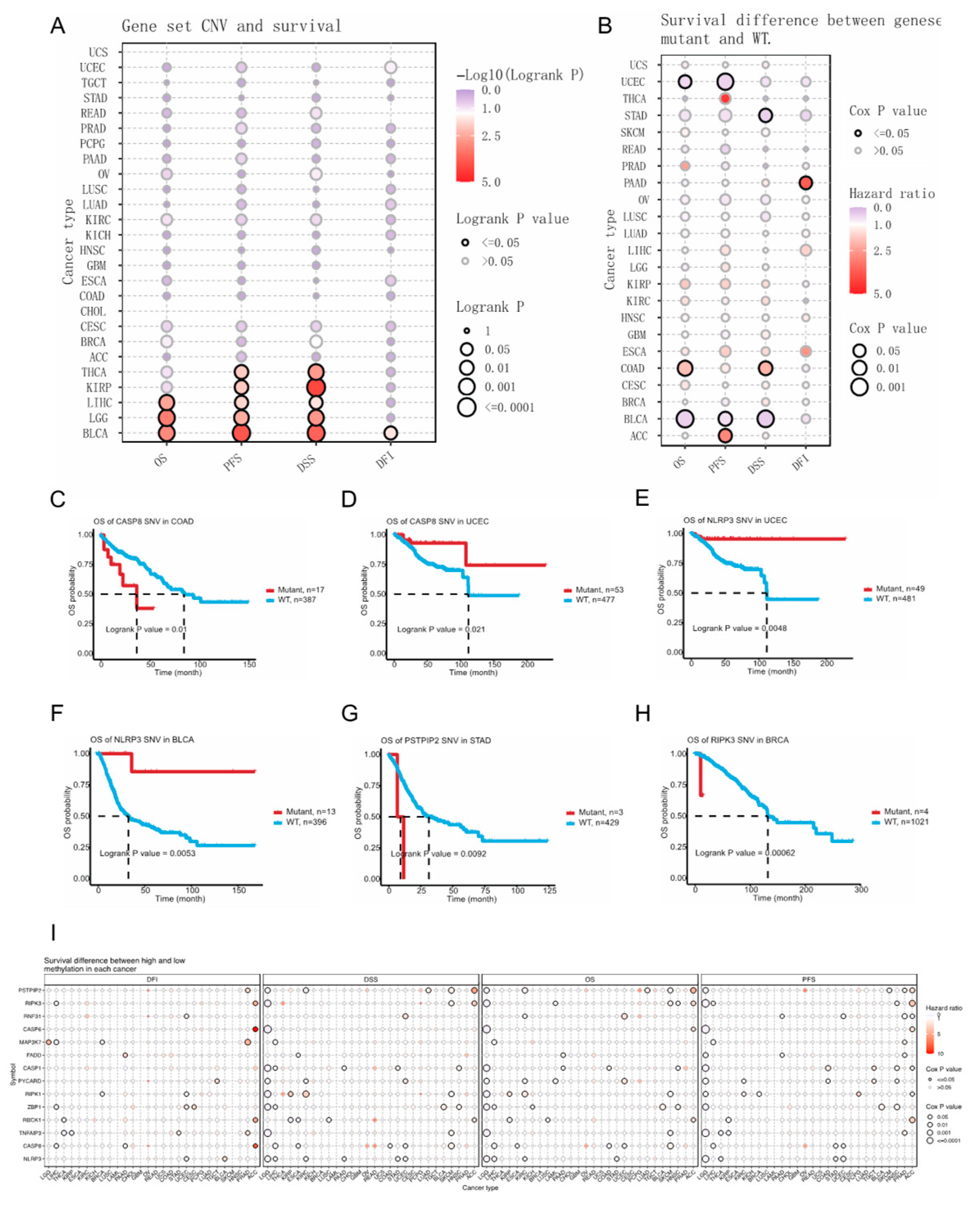 Genes 14 01994 g005