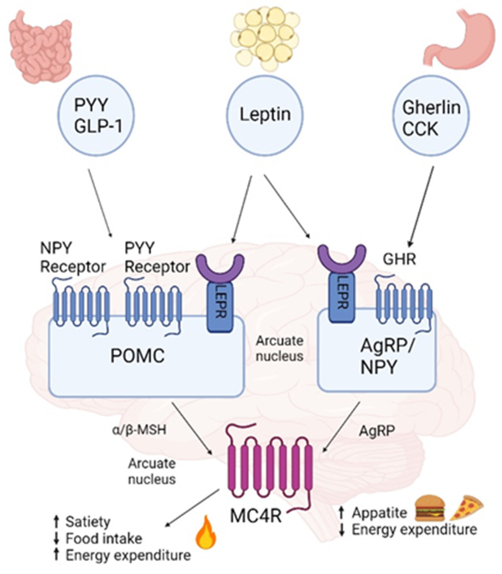 https://www.mdpi.com/genes/genes-14-01996/article_deploy/html/images/genes-14-01996-g001.png