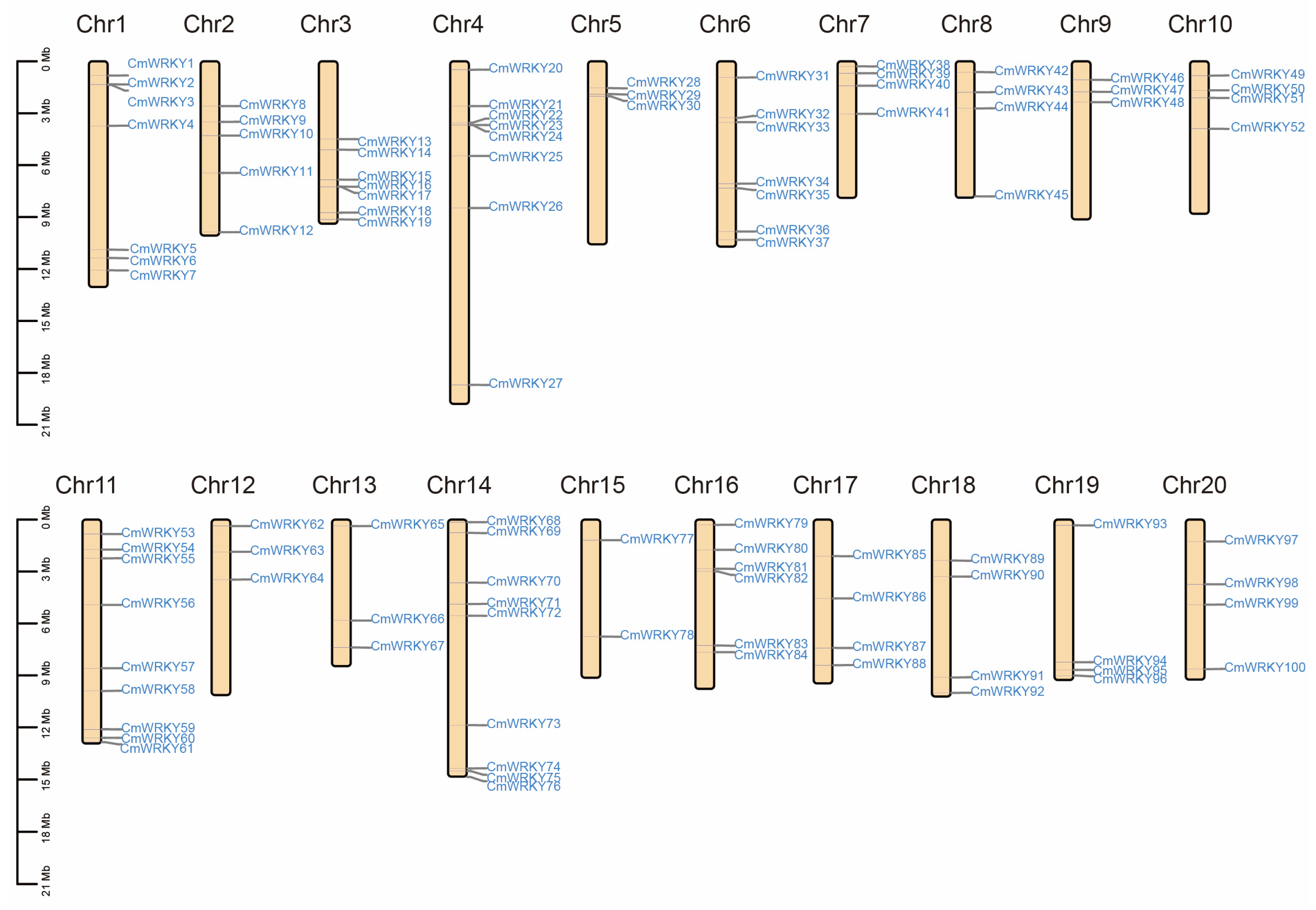 Genes 14 02030 g001