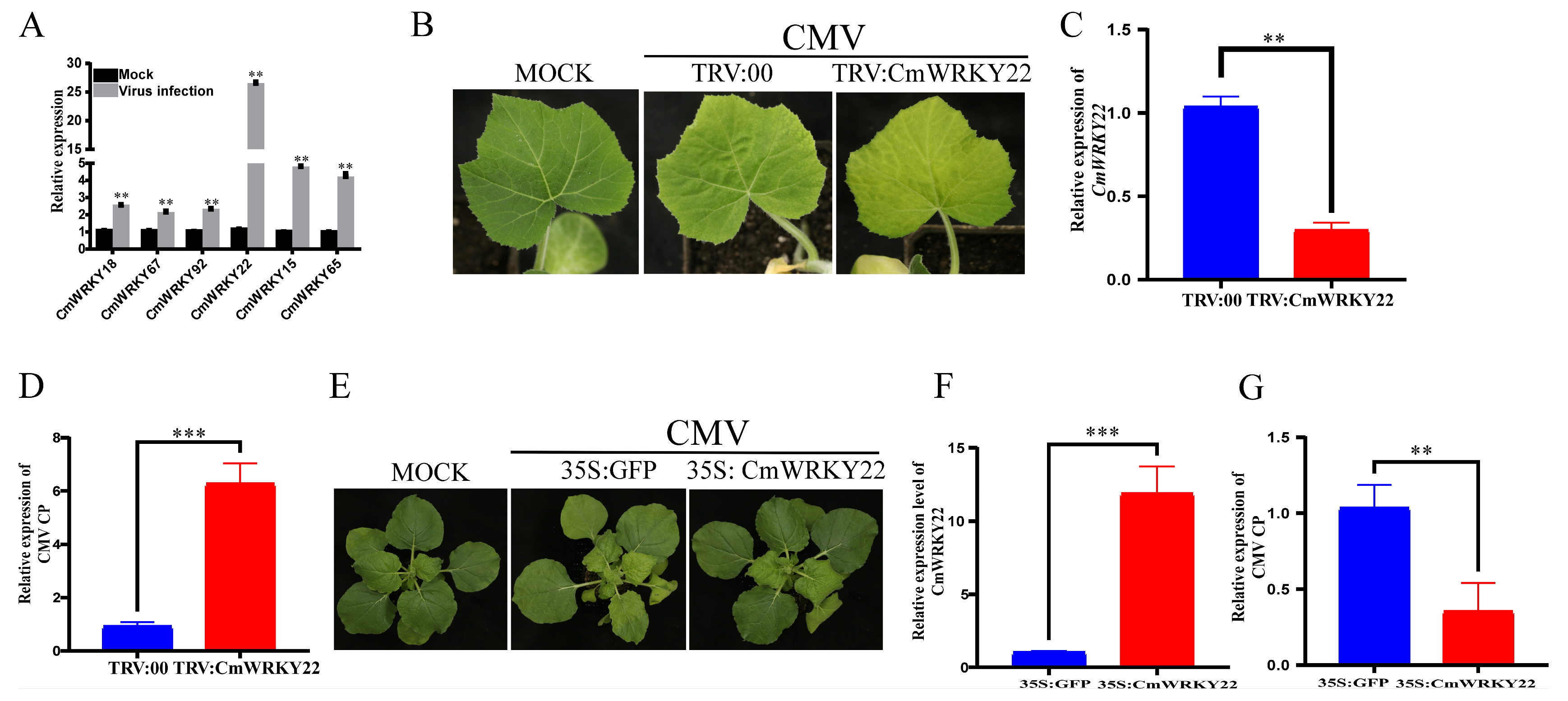 Genes 14 02030 g005
