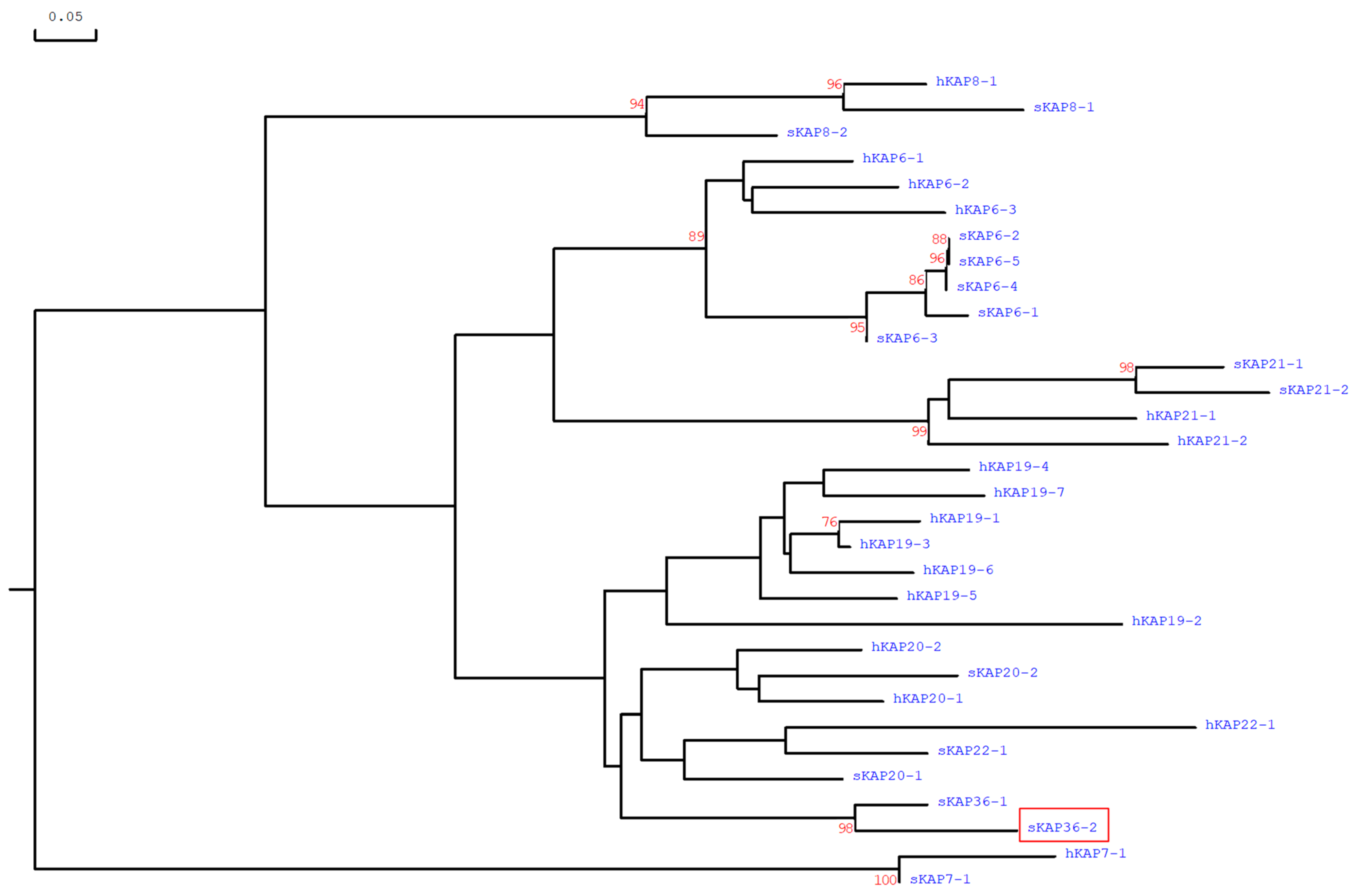 Genes 14 02045 g002