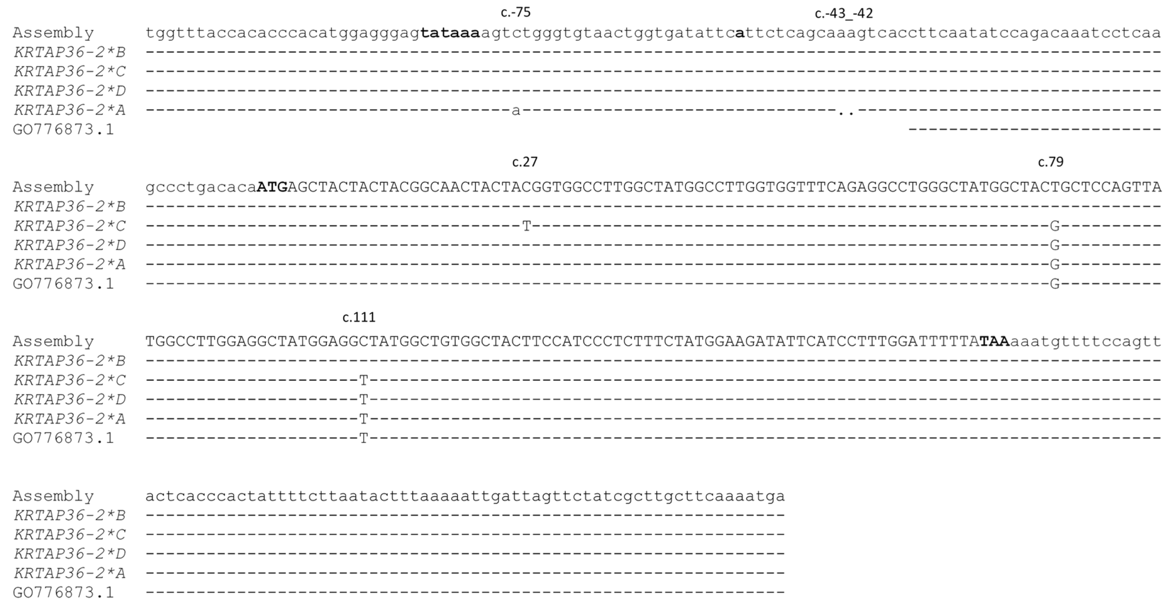 Genes 14 02045 g004