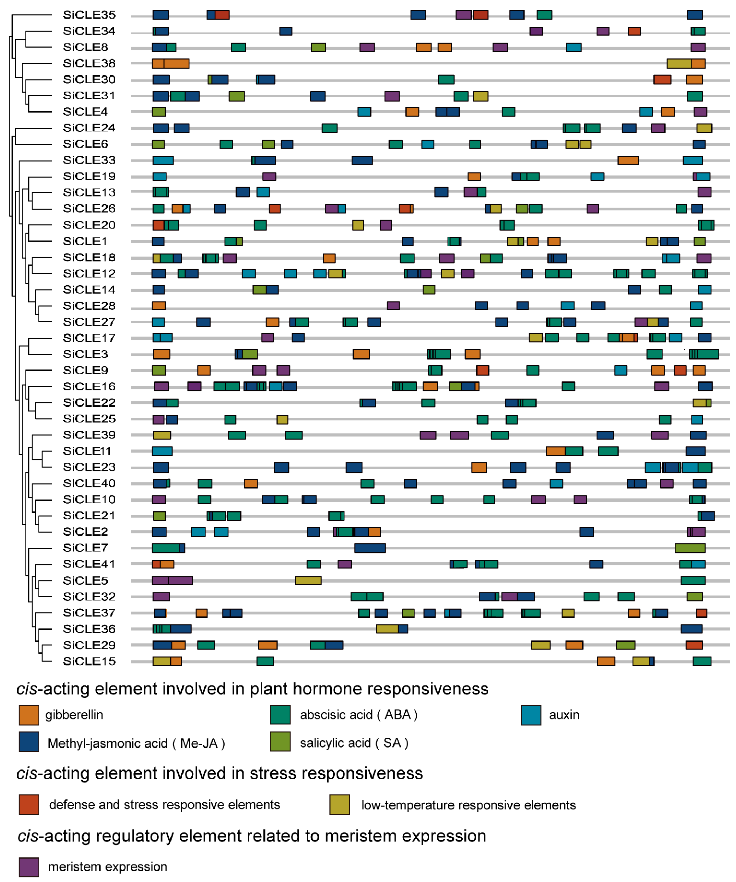 Genes 14 02046 g003