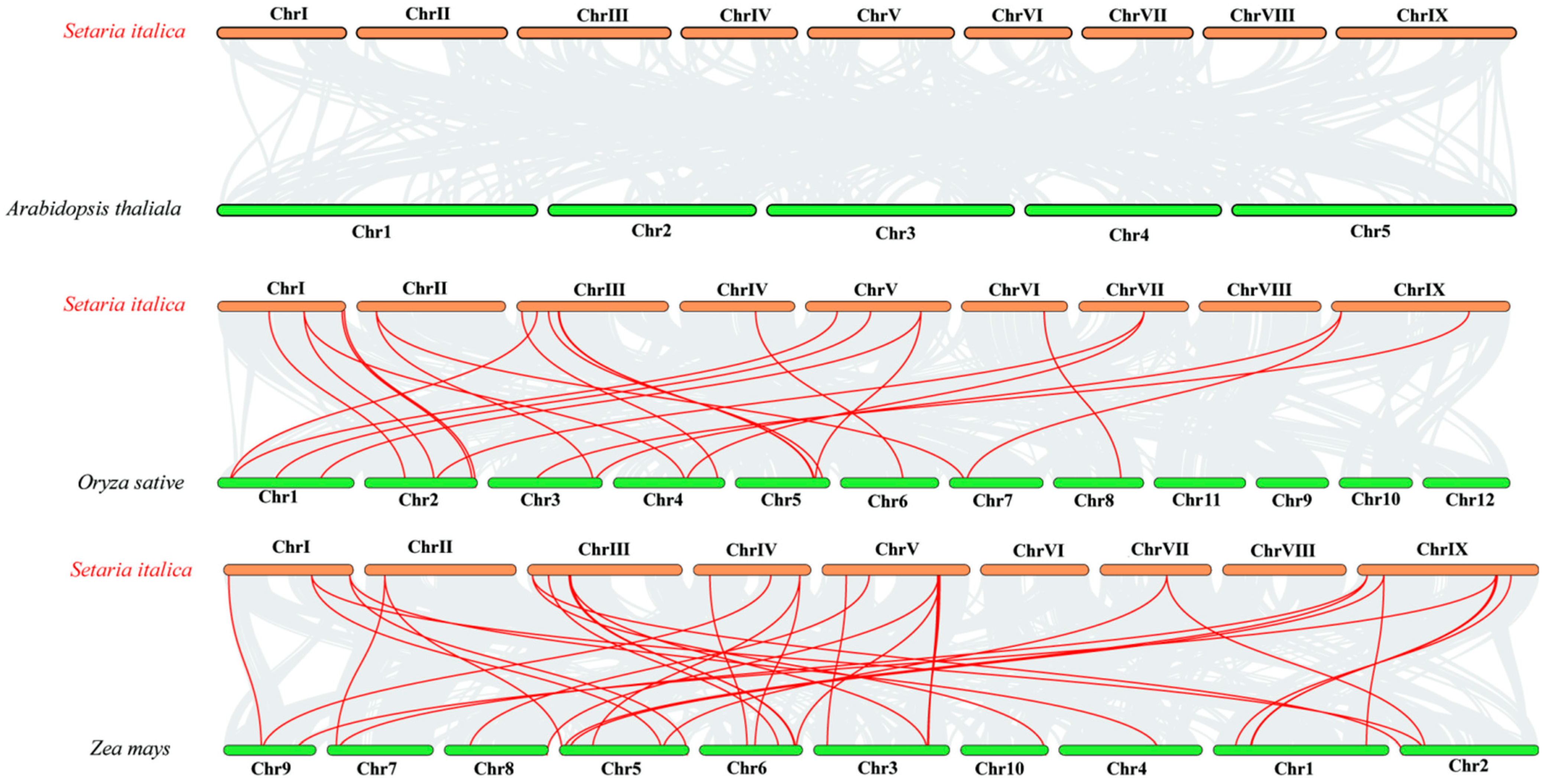 Genes 14 02046 g005