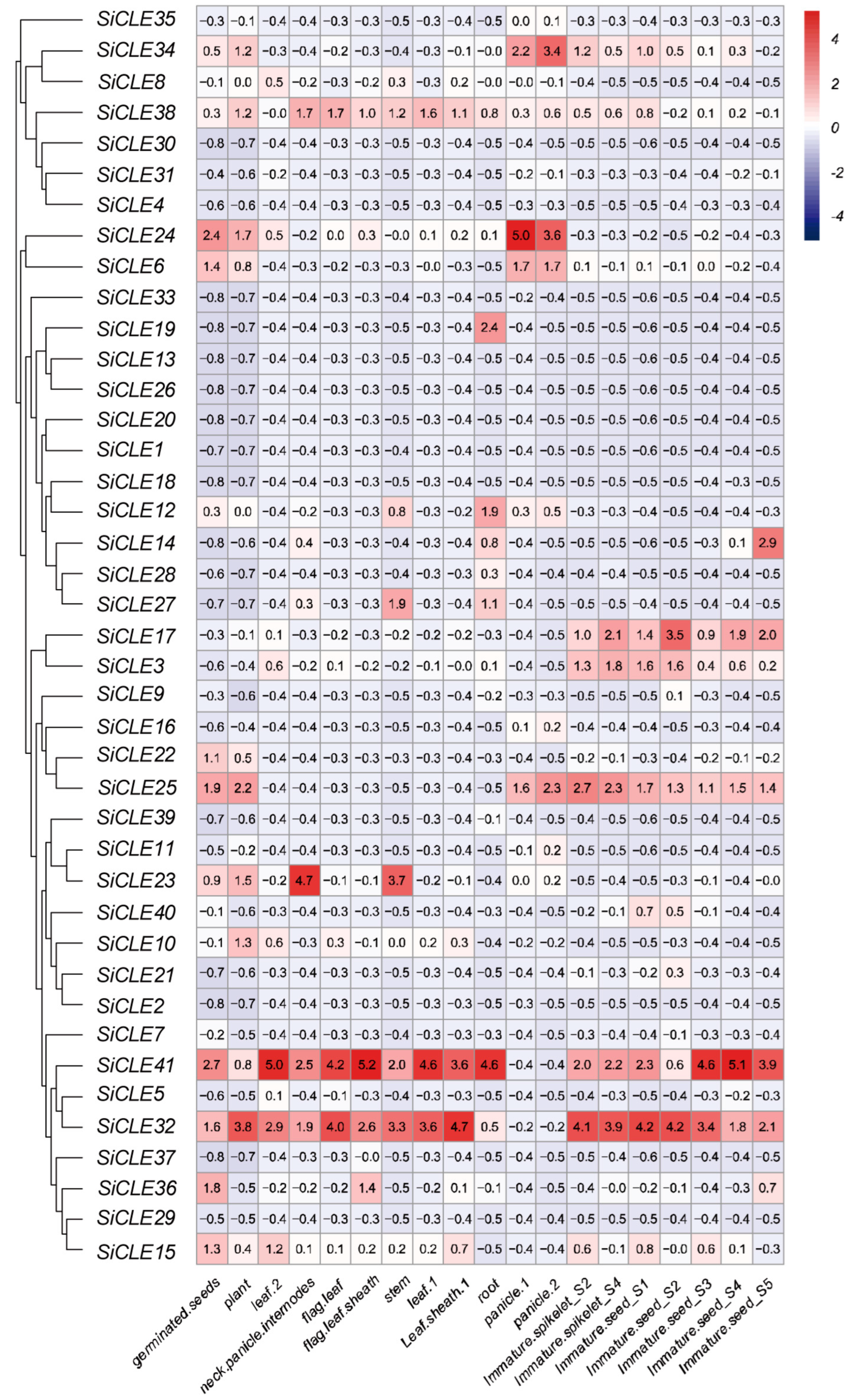 Genes 14 02046 g006