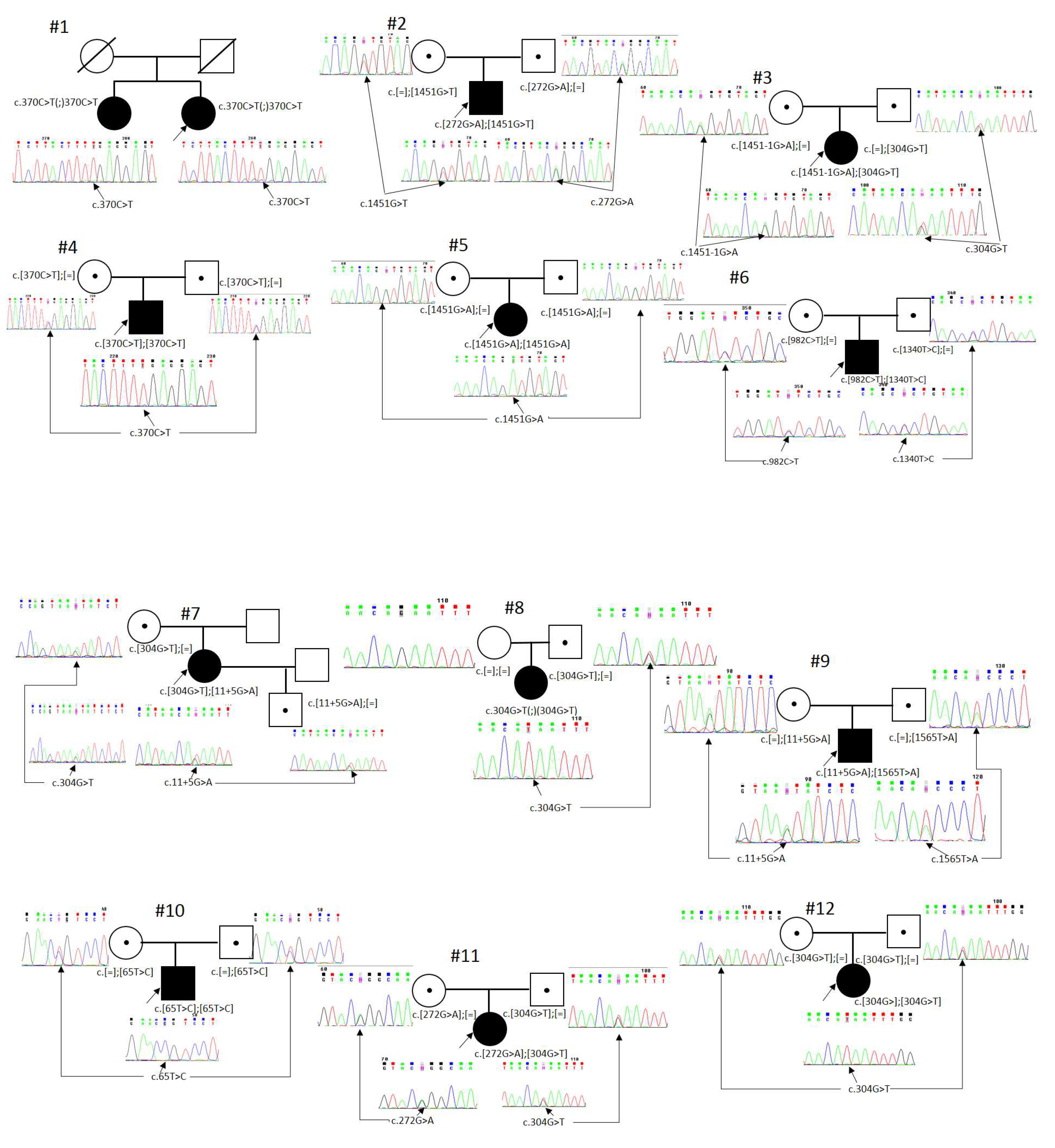 Genes 14 02056 g001a